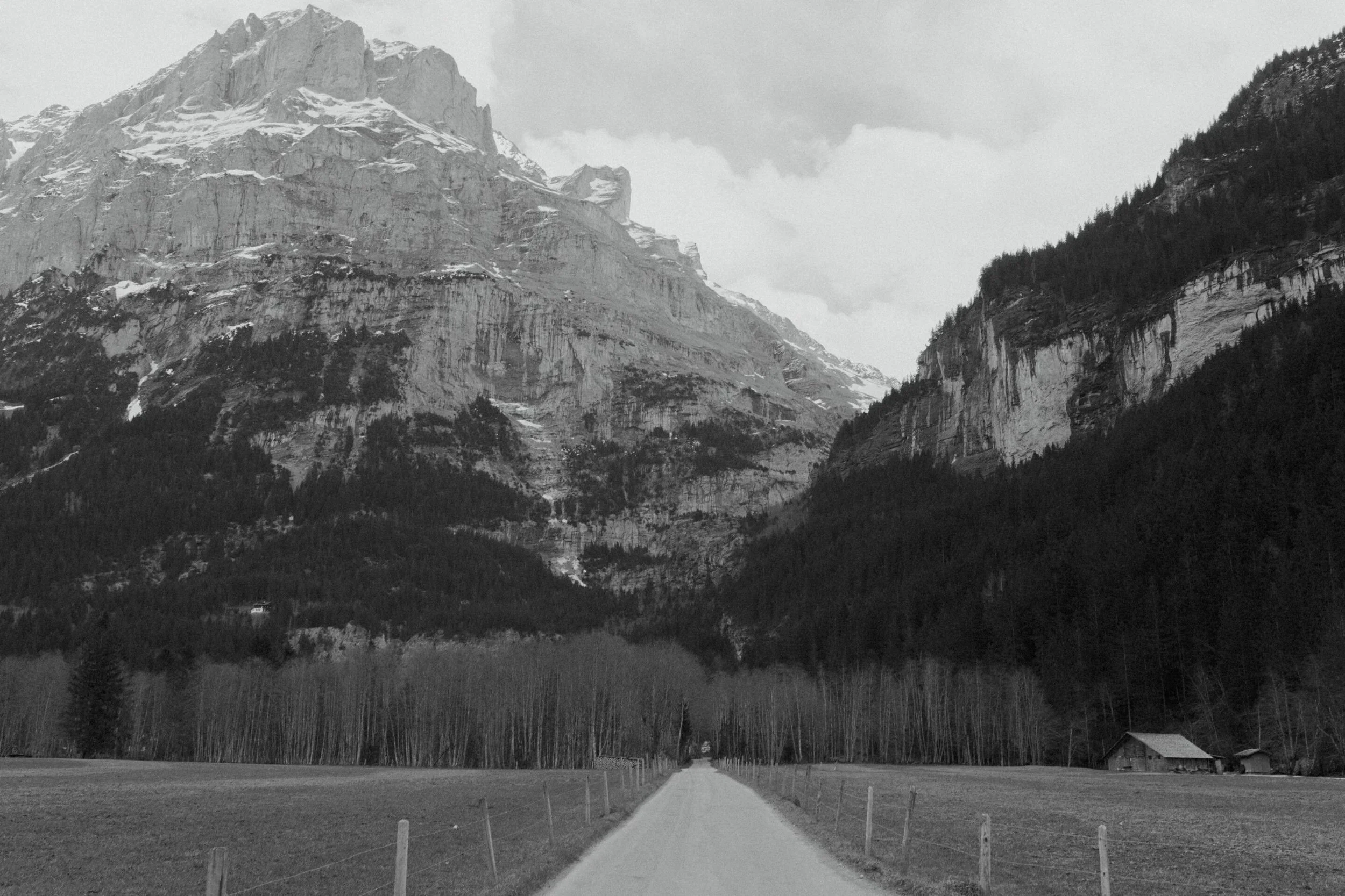 Santa Cruz Window Cleaning : A Helpful Preparation Guide 