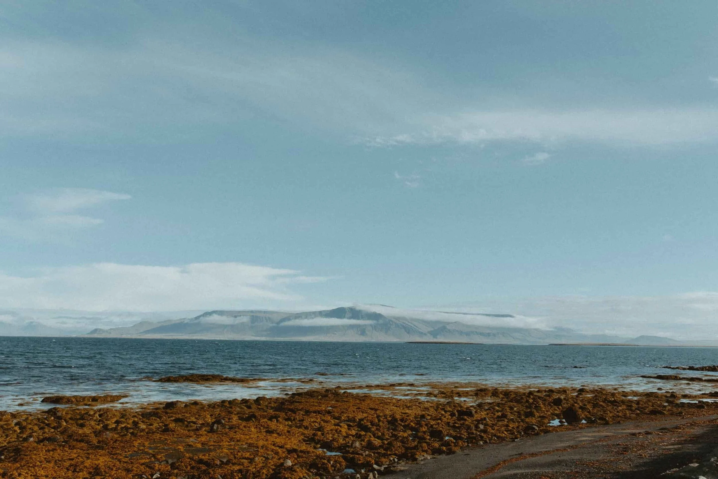 window cleaning service santa cruz, gutter cleaning service santa cruz