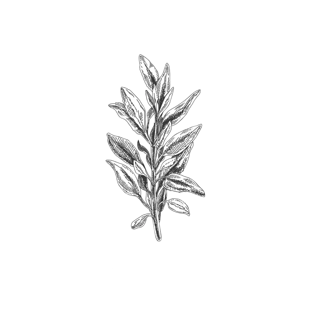 window cleaning service santa cruz, gutter cleaning service santa cruz