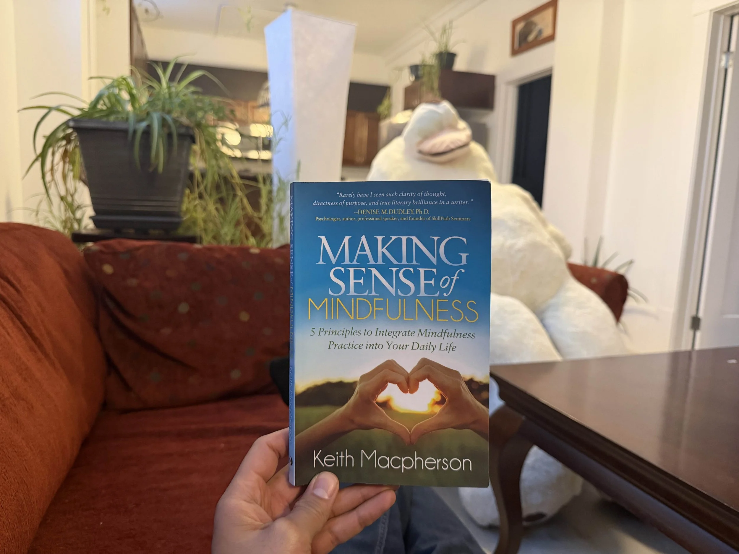 Making Sense of Mindfulness by Keith Macpherson - A 300-Word Book Review