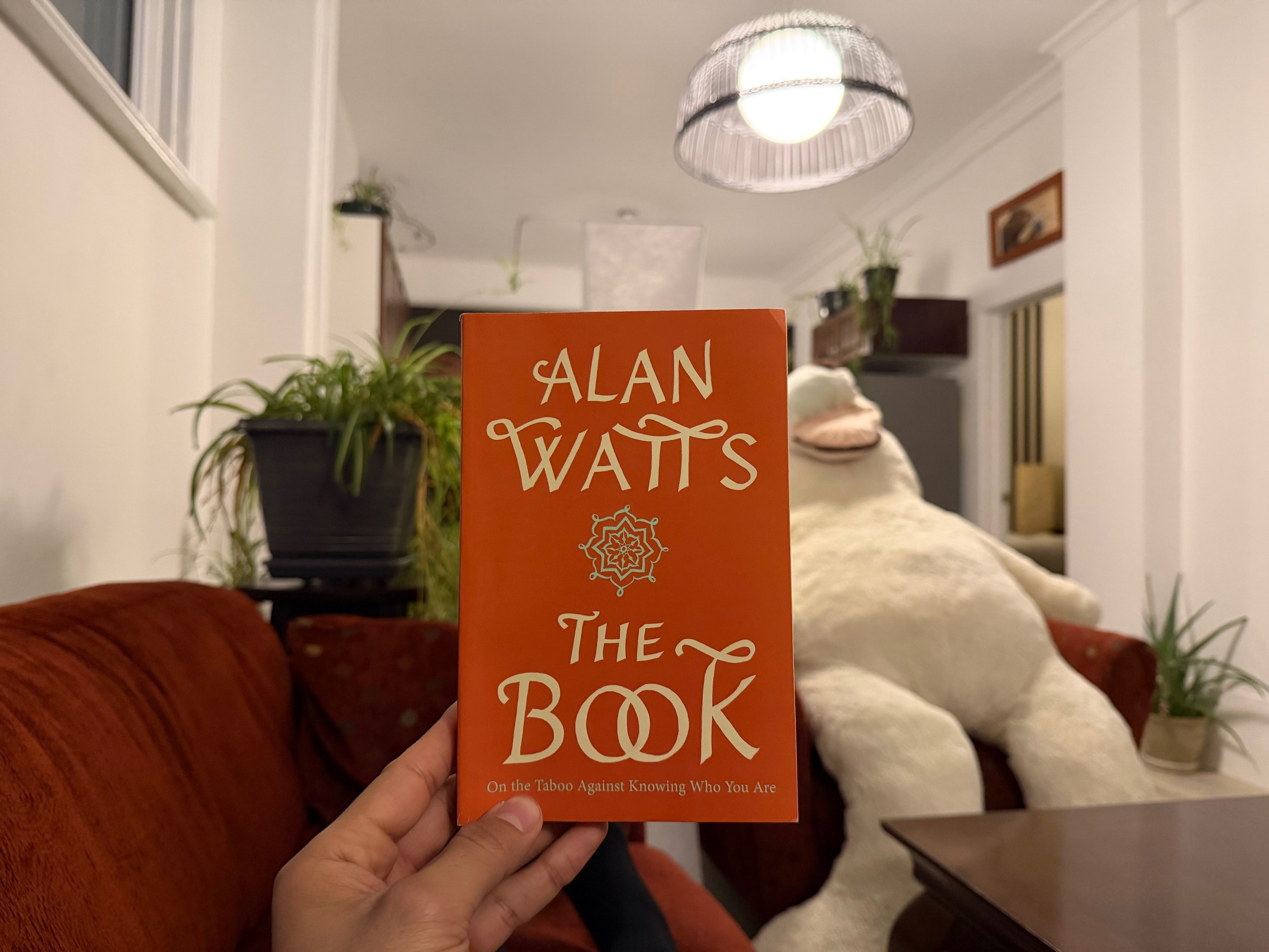 The Book by Alan Watts - A 300-Word Book Review