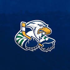 Surrey Eagles Hockey Game!