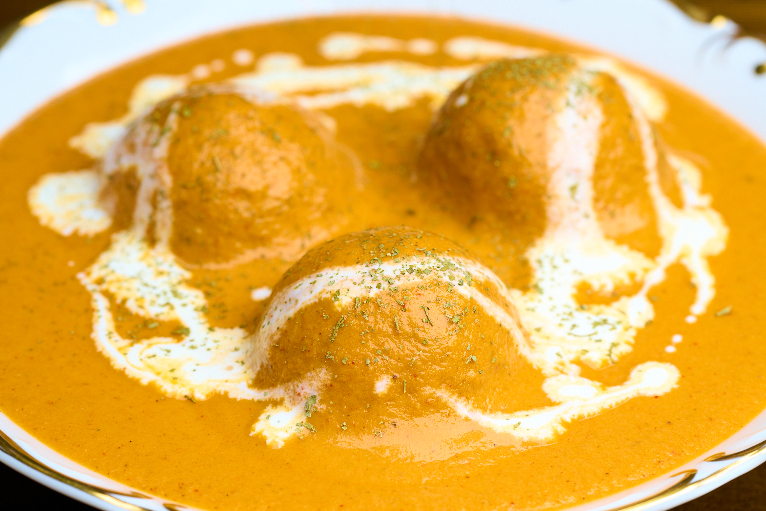 Gobi Thumbnail0025.png