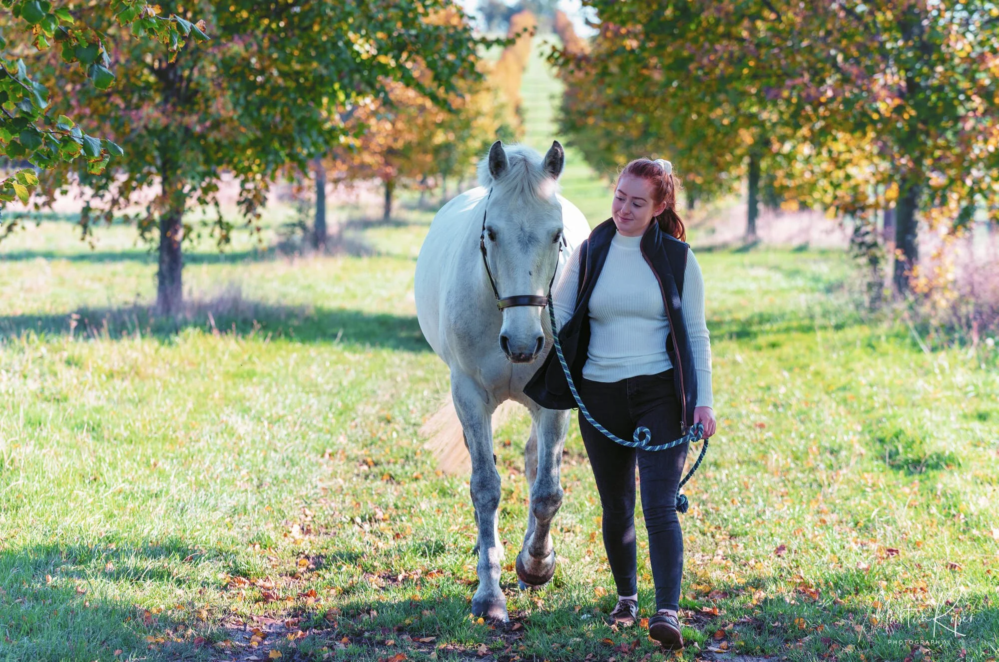 Suffolk Rural Equine Suffolk Equine Photographer — Martin Roper
