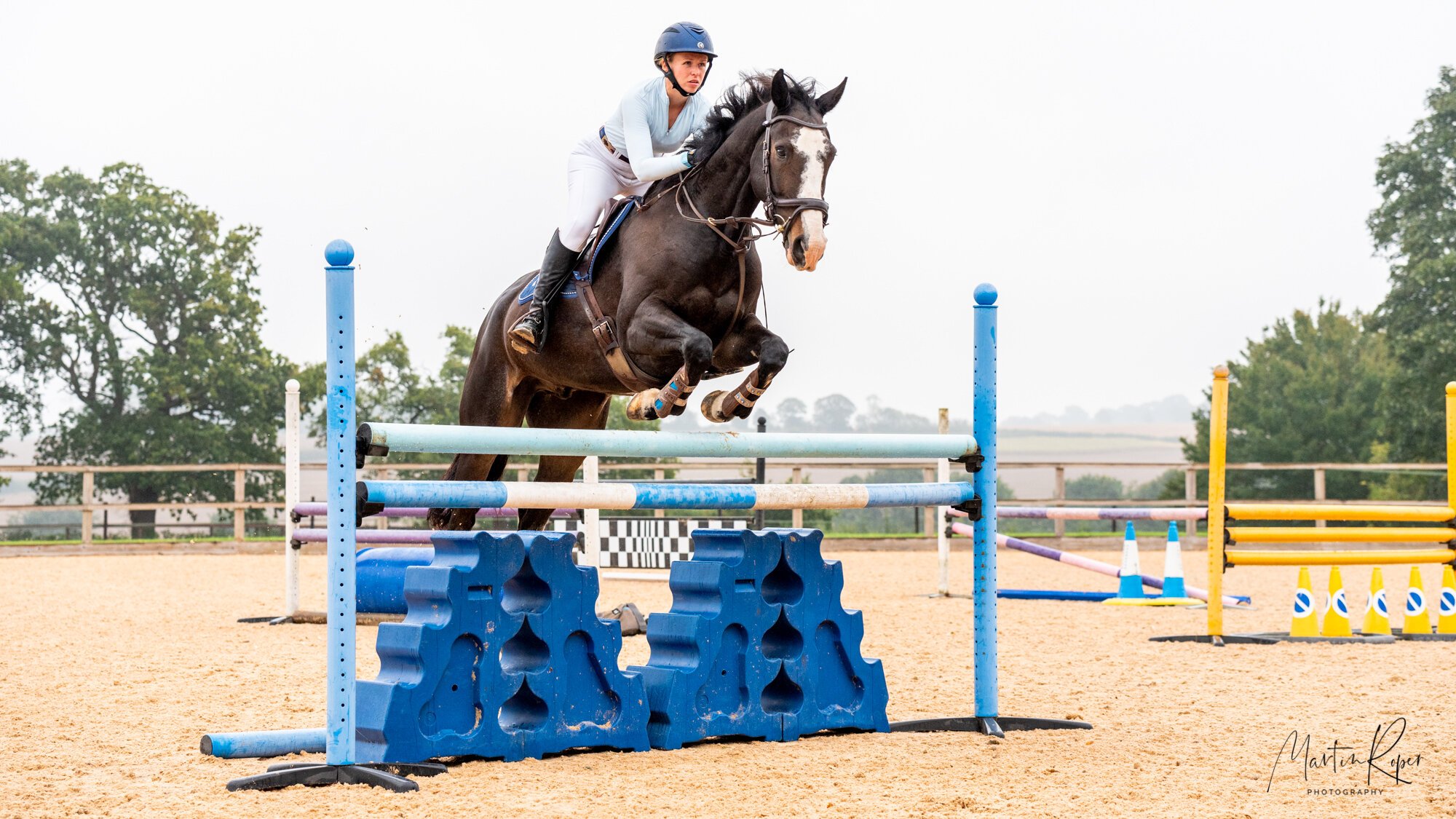 Suffolk Equine Photographer — Martin Roper