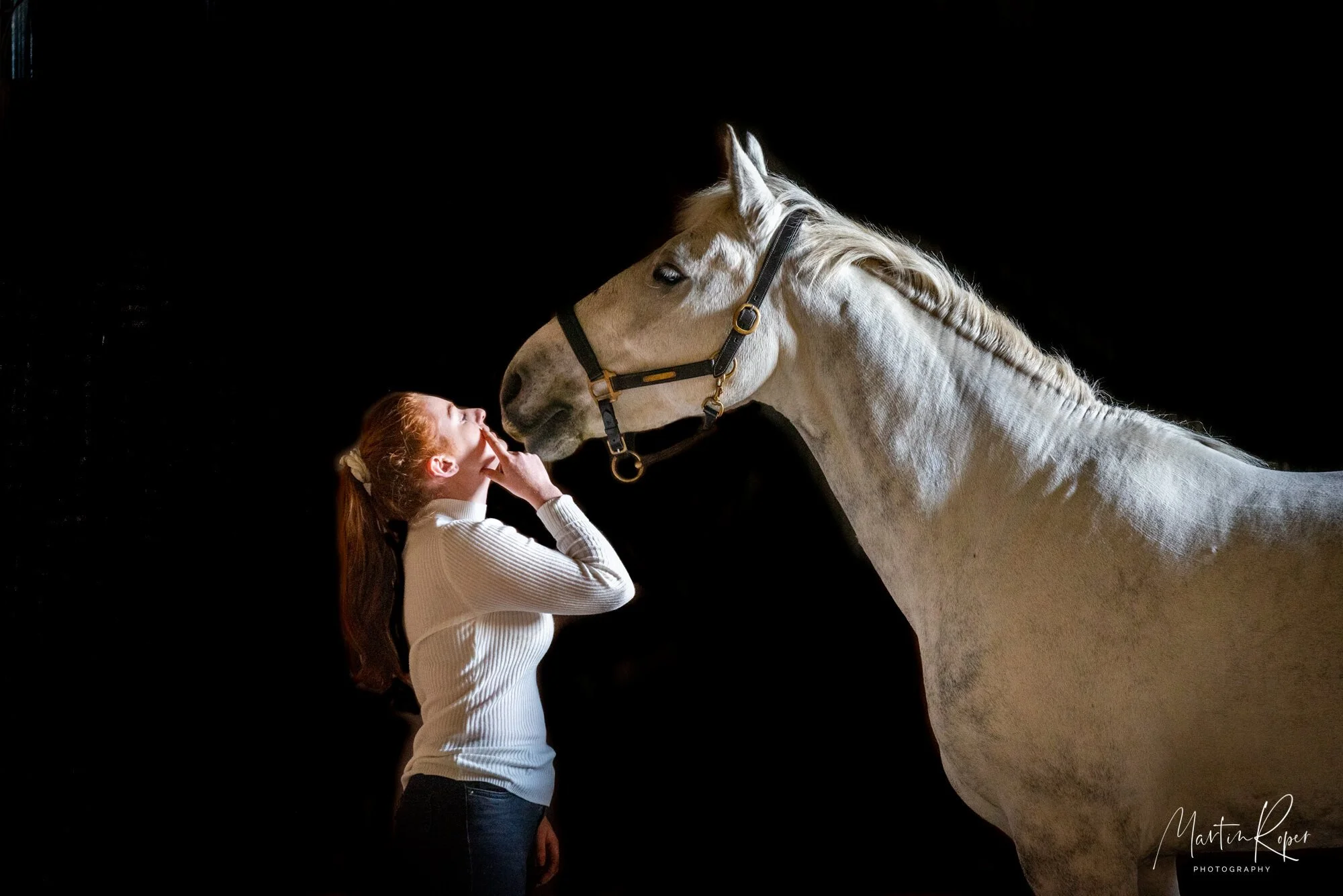 Suffolk Equine Photographer — Martin Roper
