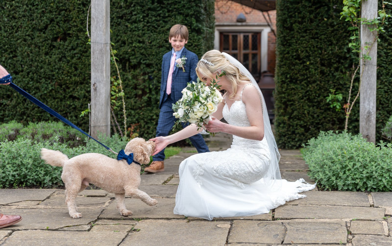 bride-dog-moment-great-fosters.jpg