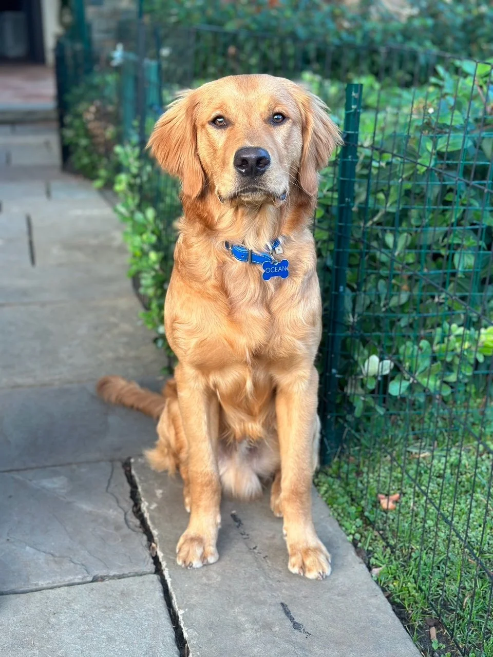 Ocean, light blue, 7 months.jpeg