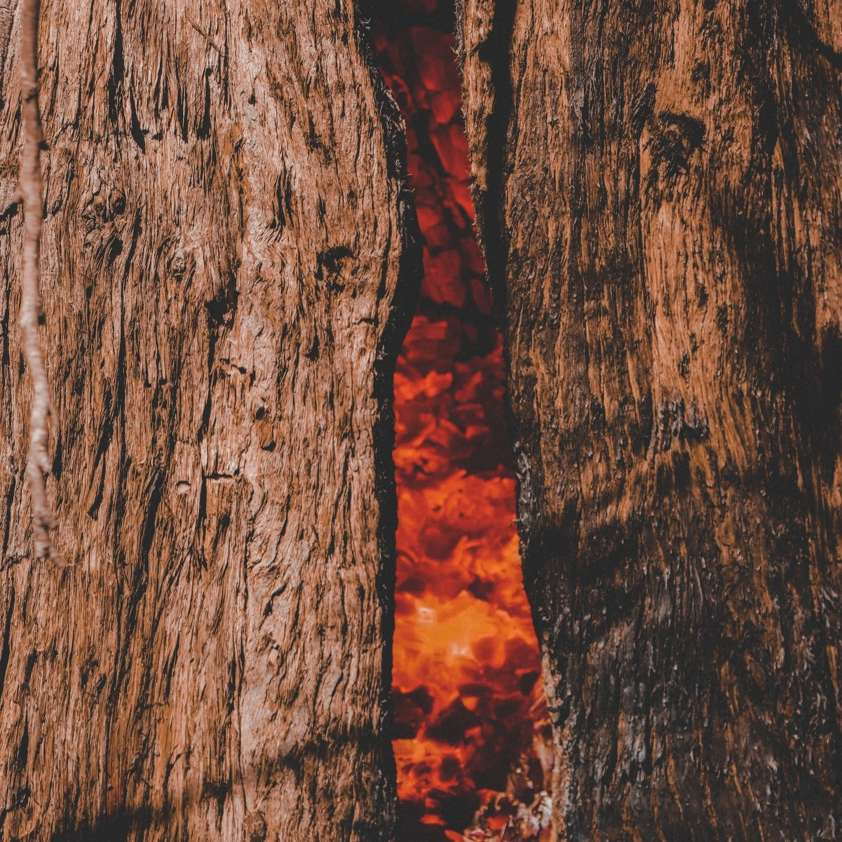 Firewise Compliance