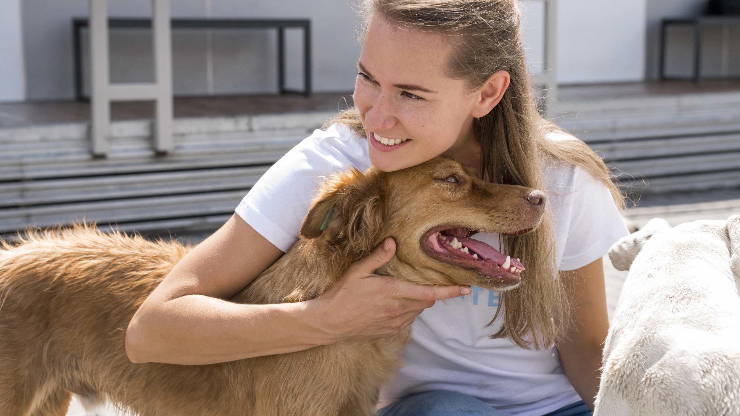 woman-holding-adorable-dog-shelter.jpg