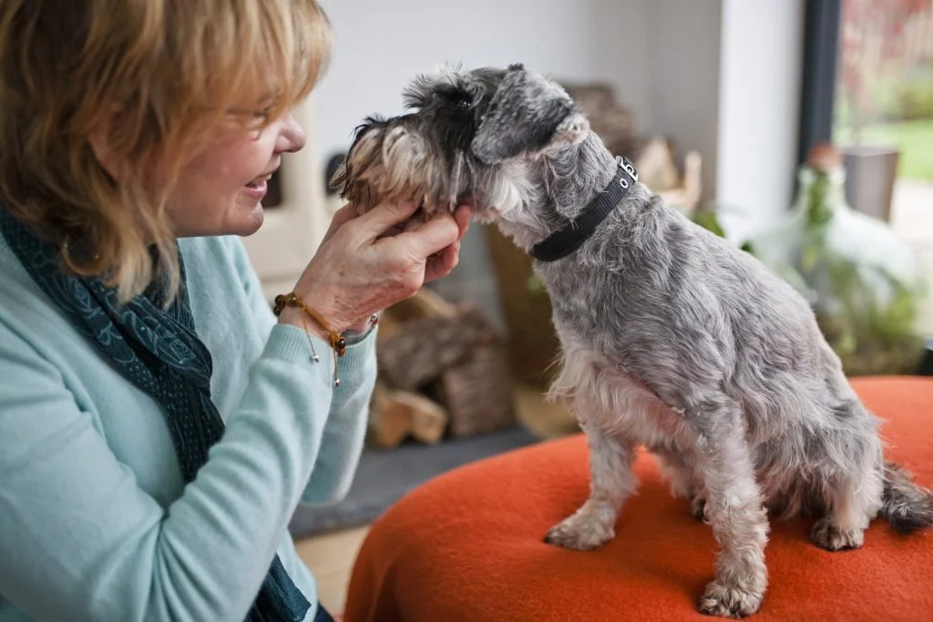 Schnauzers-Love-to-Talk-to-Their-Owners-1024x683.jpg