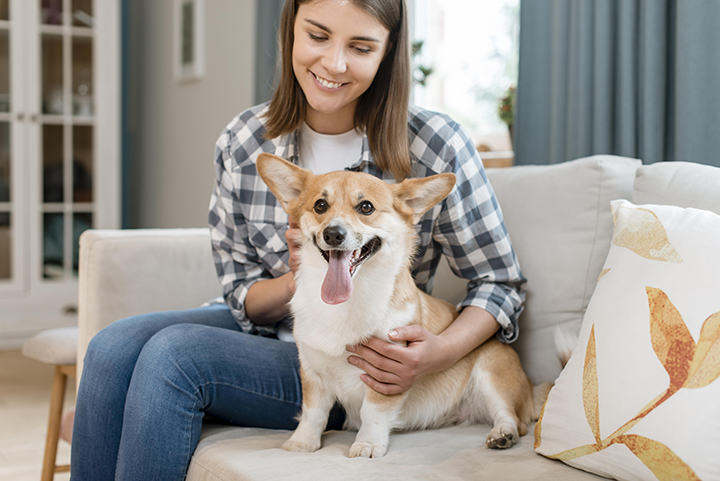 woman-holding-her-adorable-dog-couch copy.png