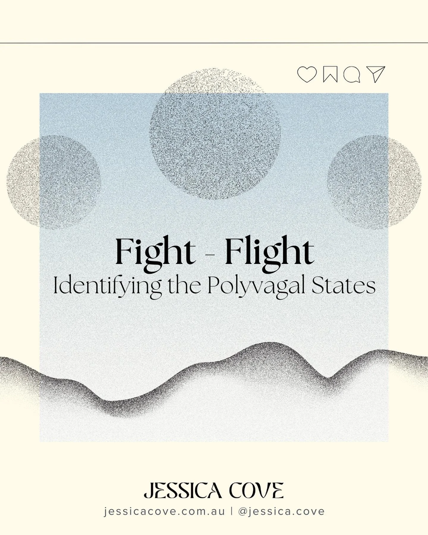 In our next instalment of this ongoing polyvagal series, we&rsquo;ll be focusing on the unique characteristics of each of the three main Polyvagal states:

Safe + Social
Fight - Flight
Shutdown - Collapse

Becoming familiar with the specific traits o