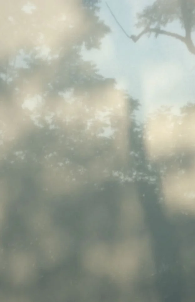Blurred view of trees and sky seen through a window or glass surface.