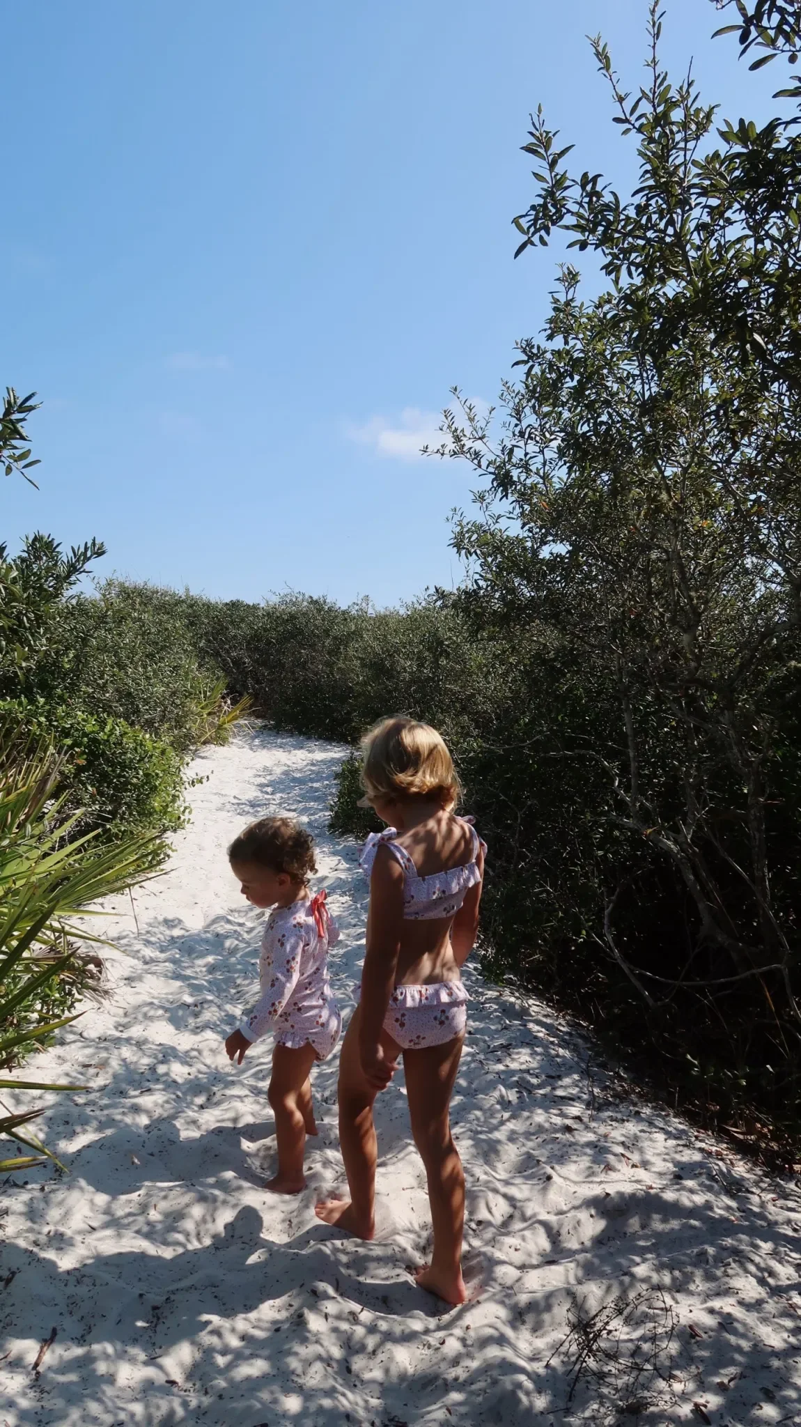 photo2-5-scaled.jpg.webp