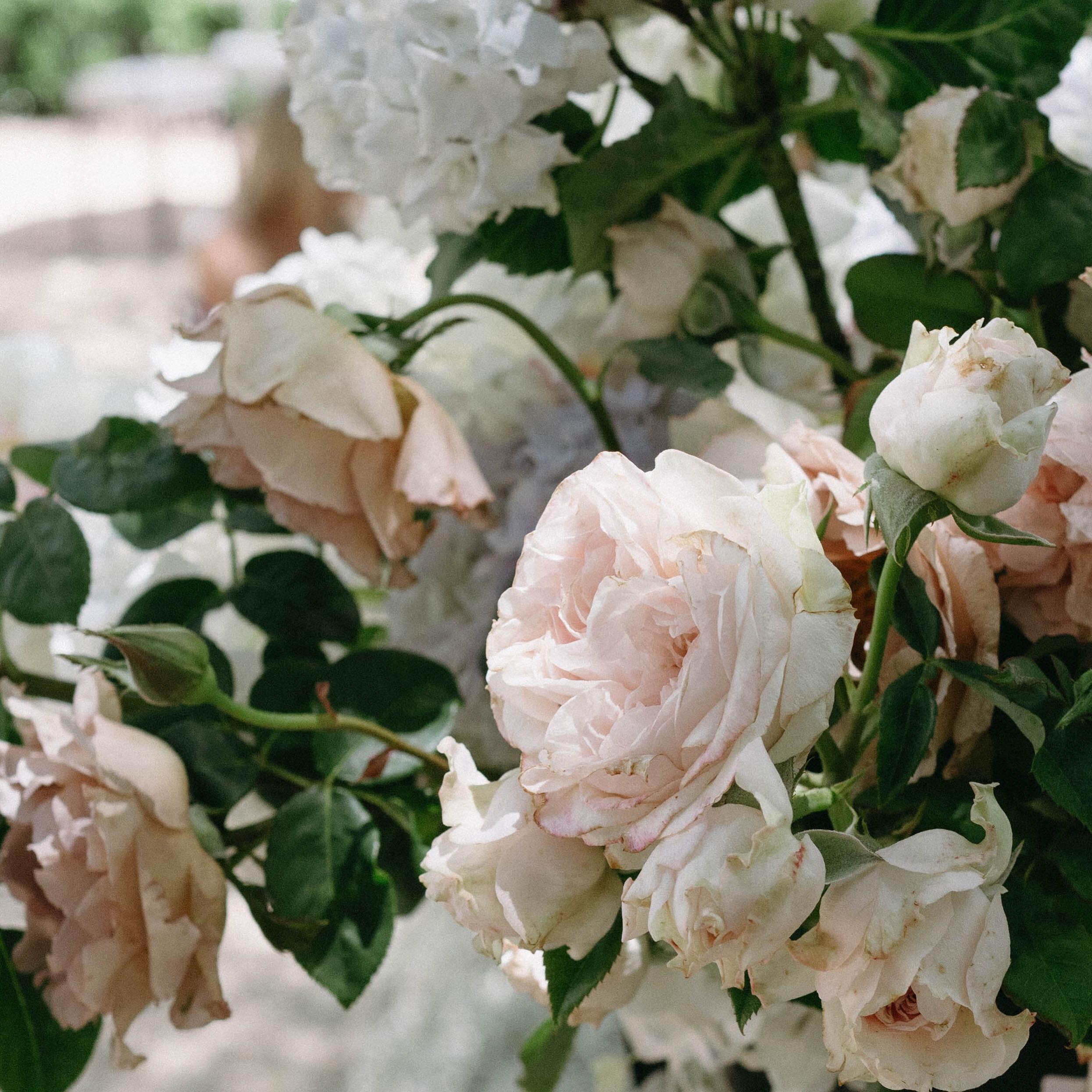 WHAT A MONTH 🤍⚡️ we shot 9 incredible weddings in February and have another big month ahead. We&rsquo;ve loved every minute. 

Here are some day after florals wilting in the Australian February heat. Still beautiful xo