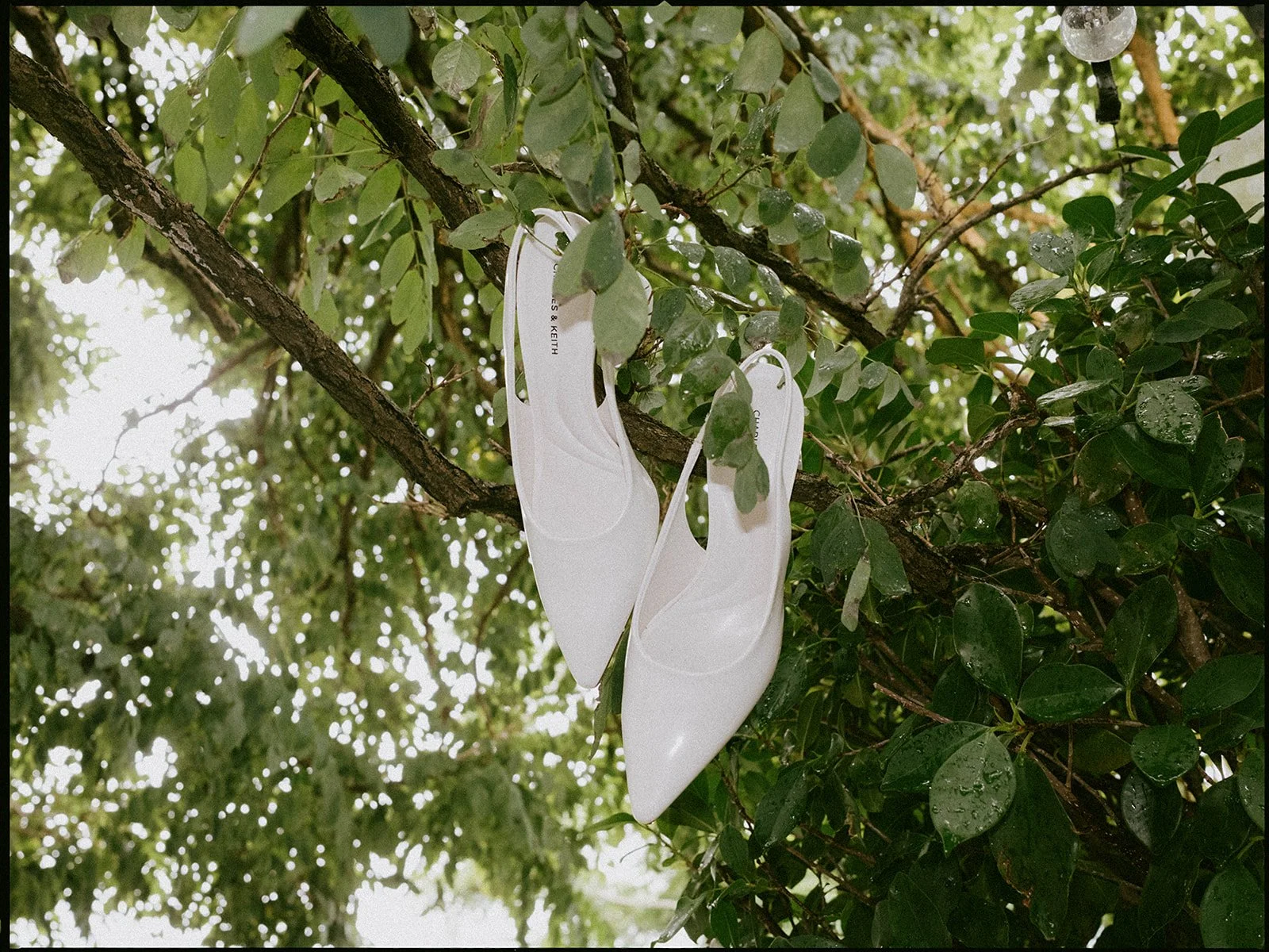 film-wedding-photographer.jpg