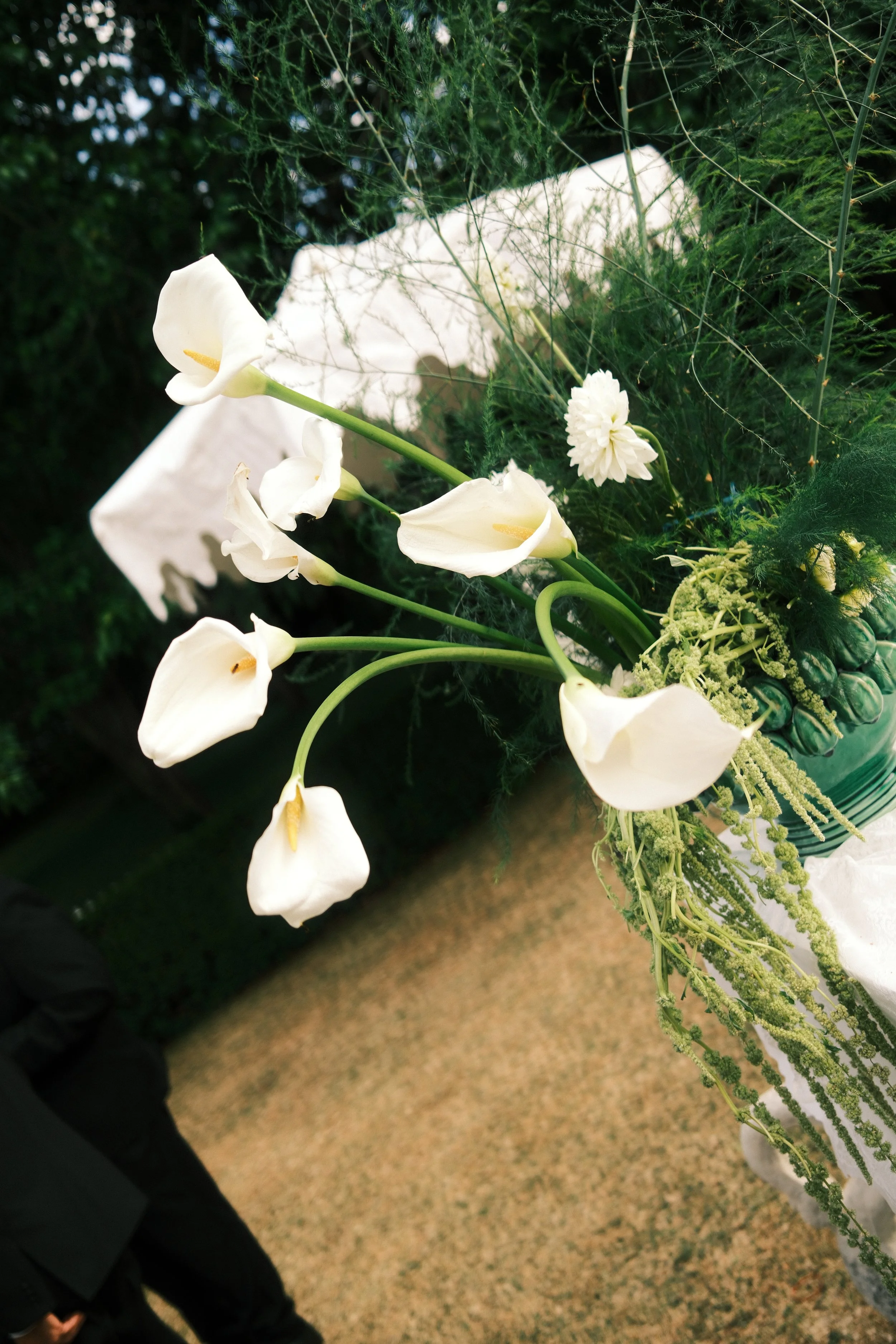 film-detail-photography.JPG
