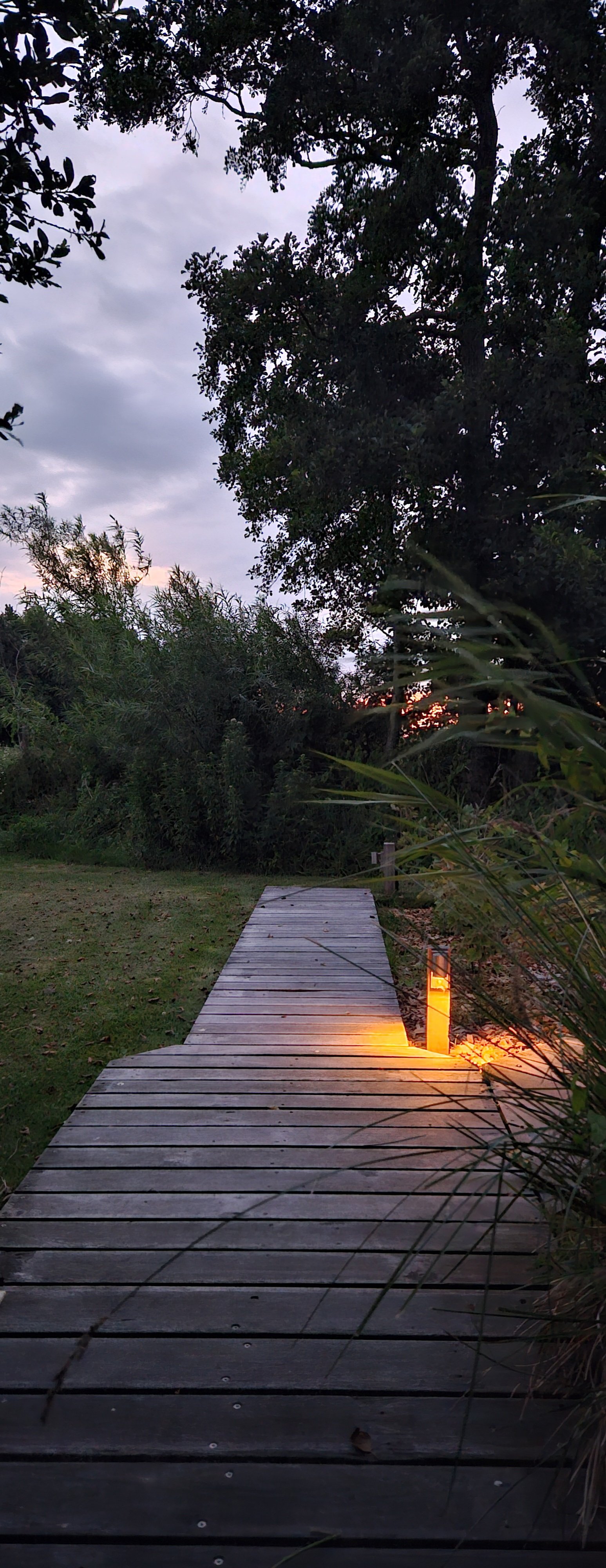 Zwoele zomeravond