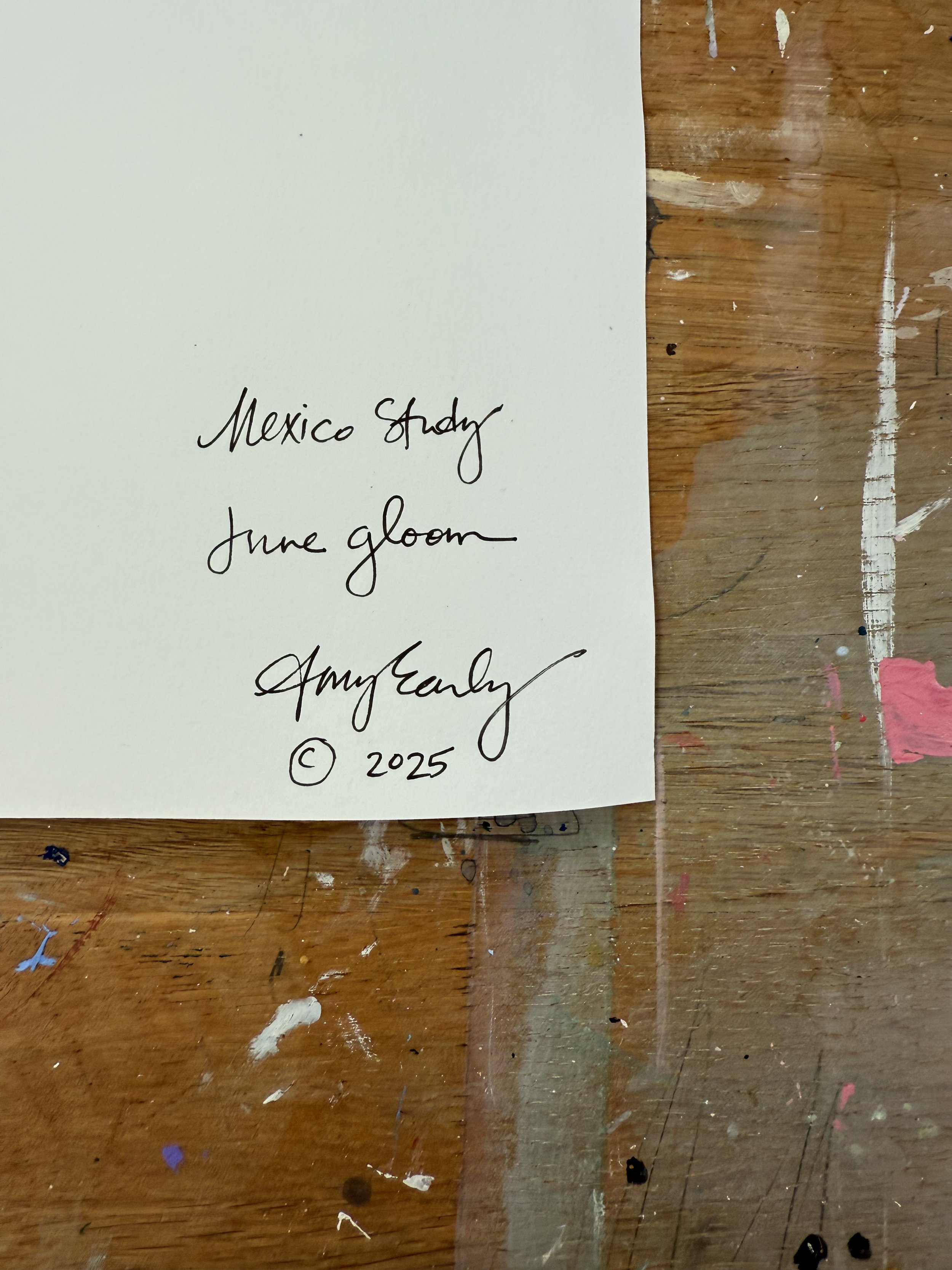 June Gloom-back with signature.jpg