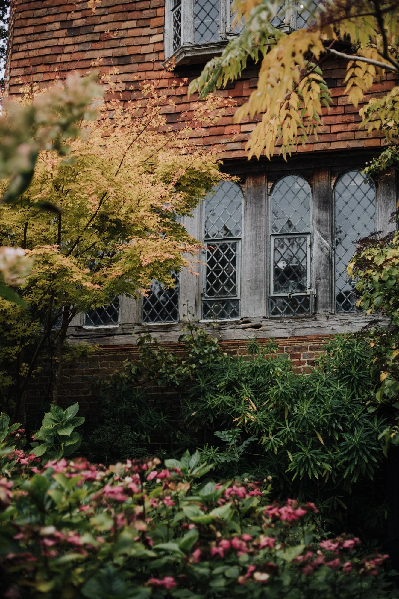 dixter-9397.jpg