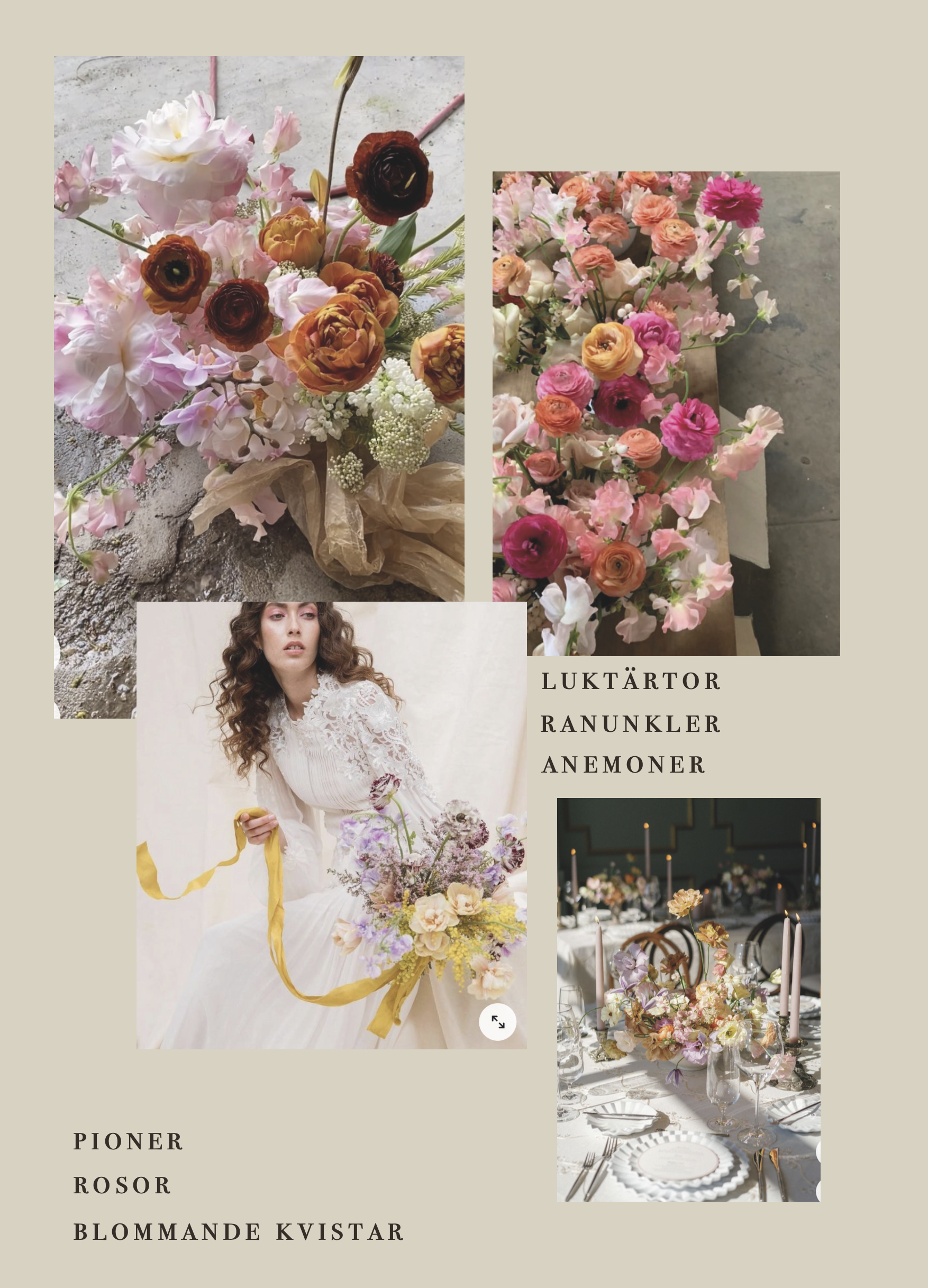 Skärmavbild 2026-01-04 kl. 12.11.52.png