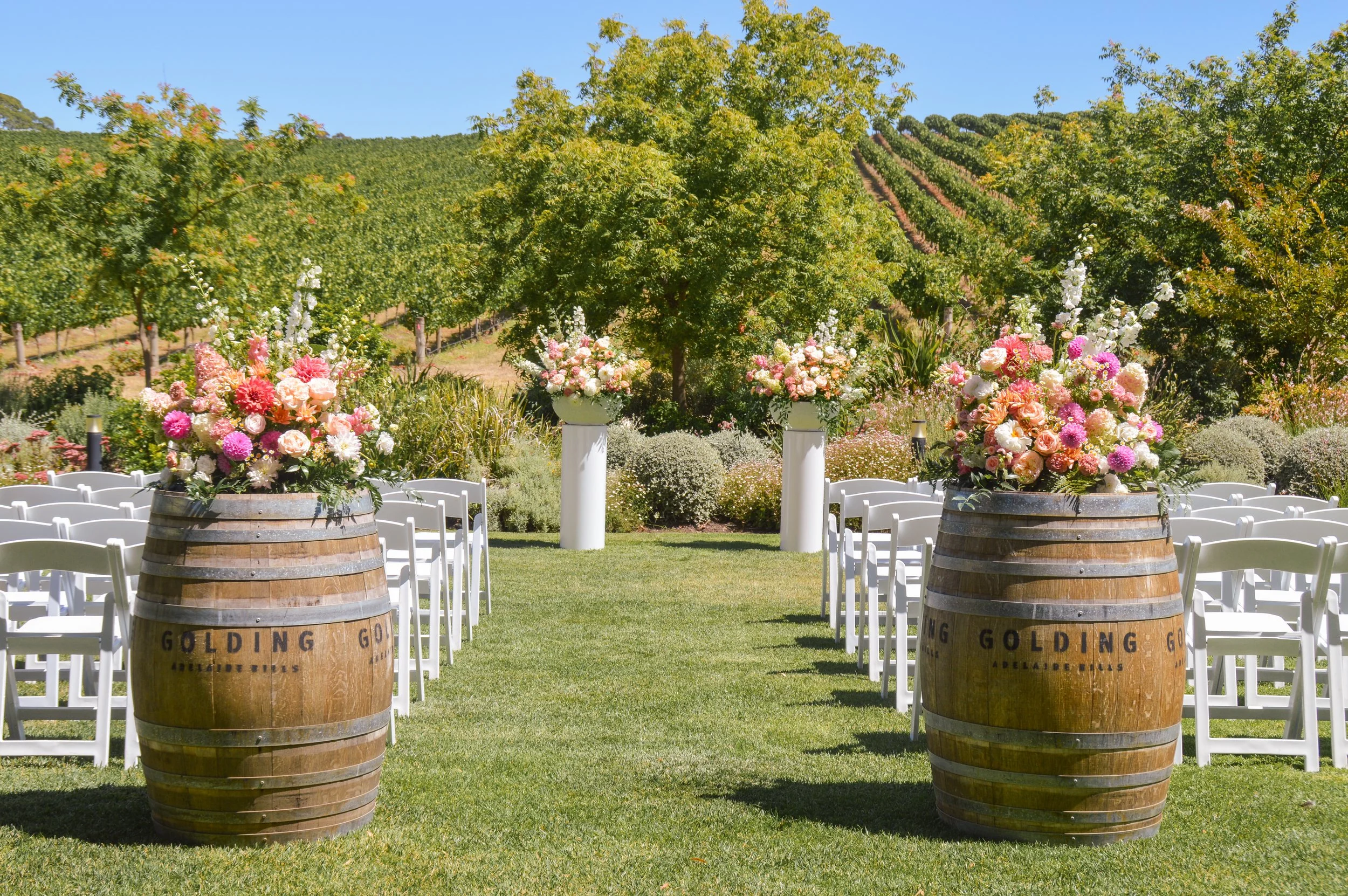 Golding Wines