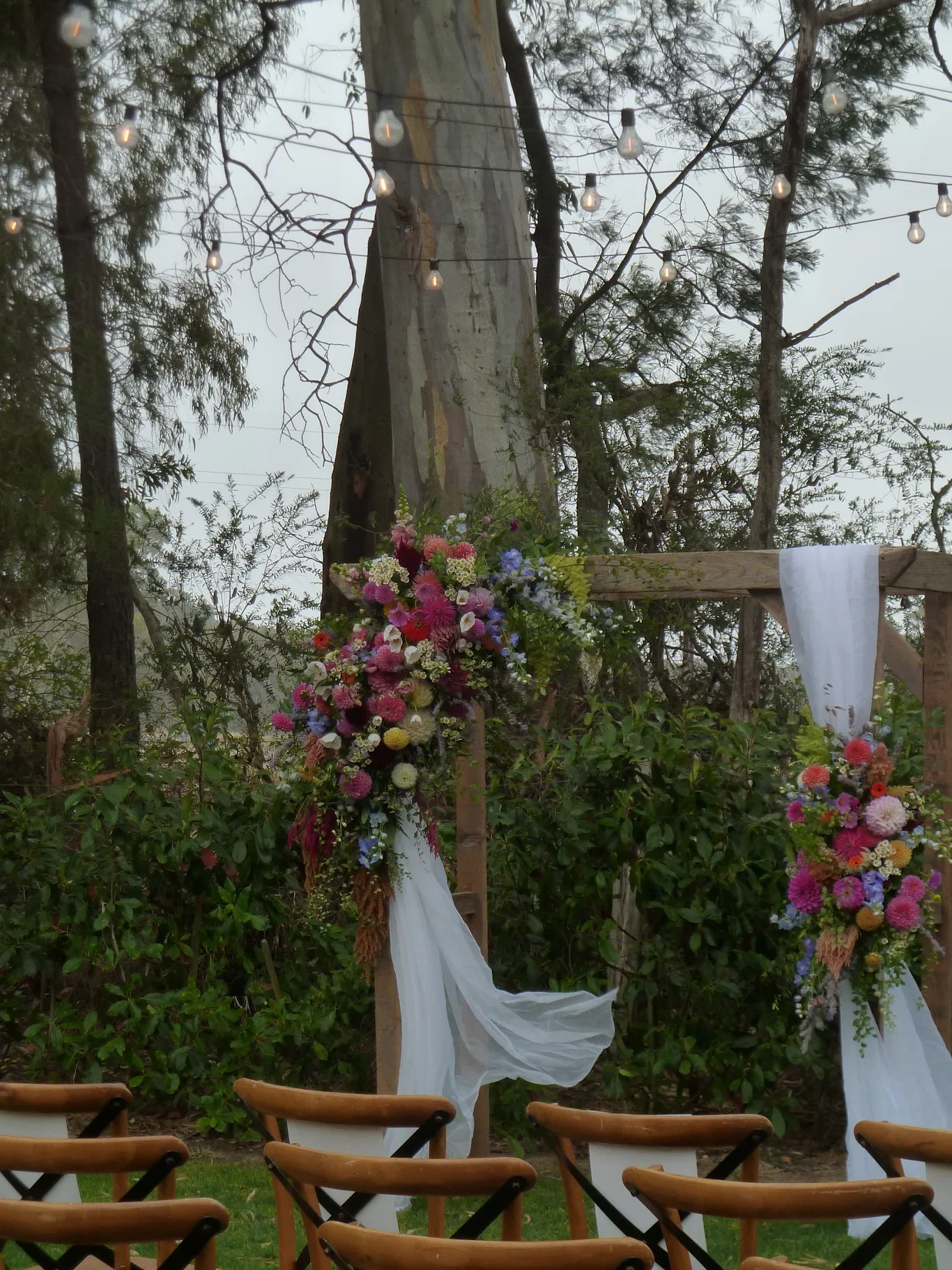 arbor flowers