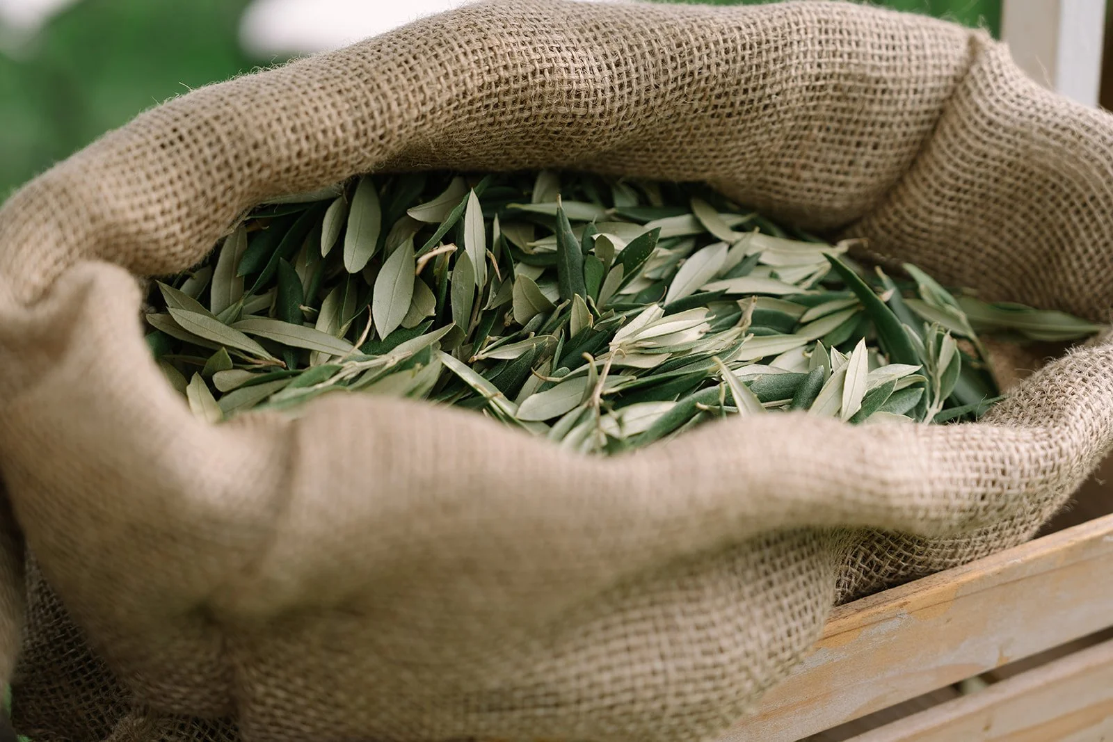 CASAMENT MAS CAN FERRER-29.jpg