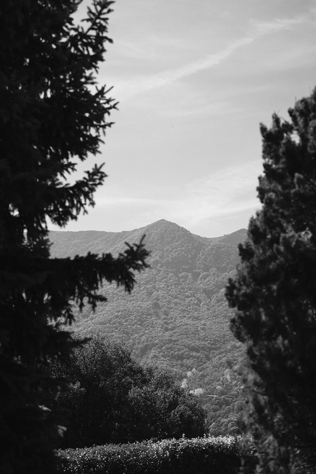 CASAMENT MAS EL MARTÍ-4.jpg