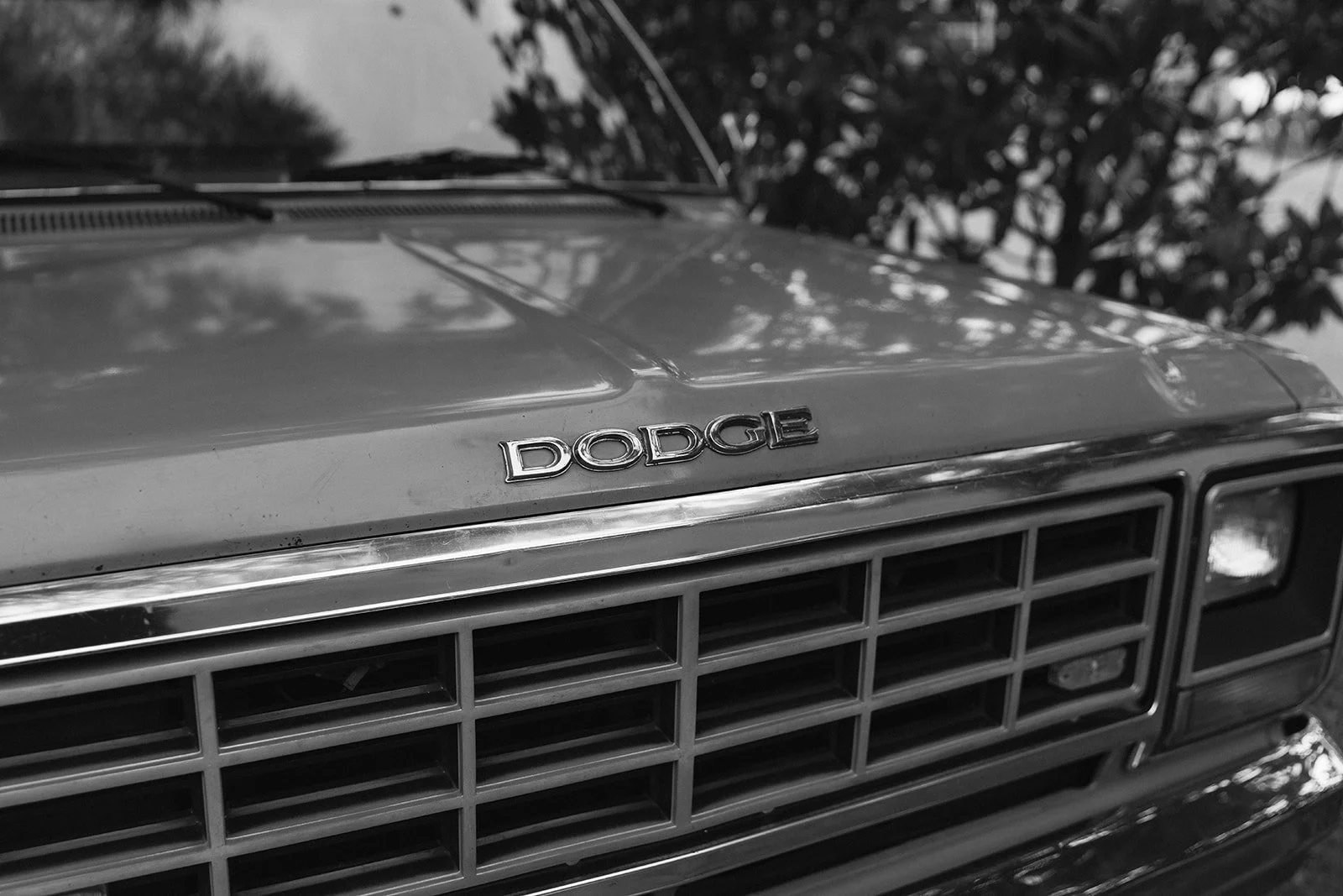 CASAMENT MAS CAN FERRER-13.jpg