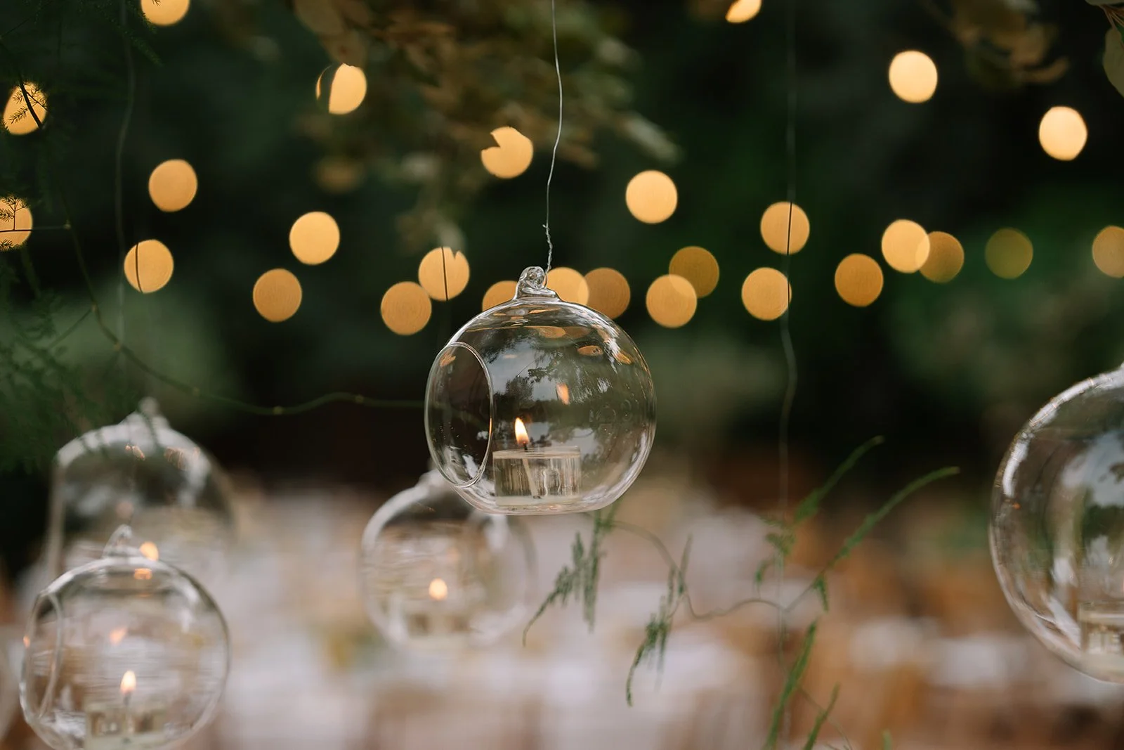 CASAMENT A VALLFORT-54.jpg