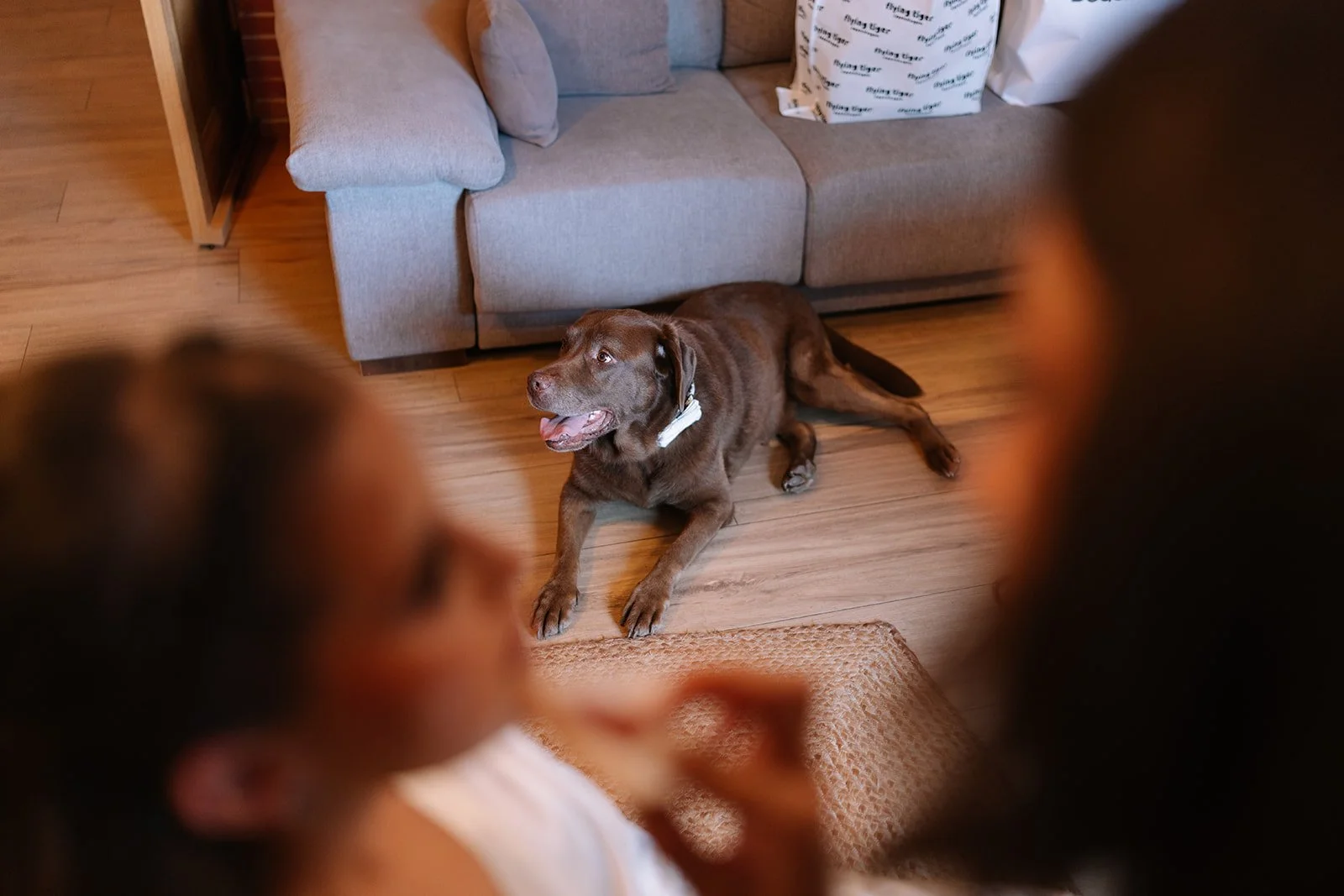 CASAMENT MAS CAN FERRER-8.jpg