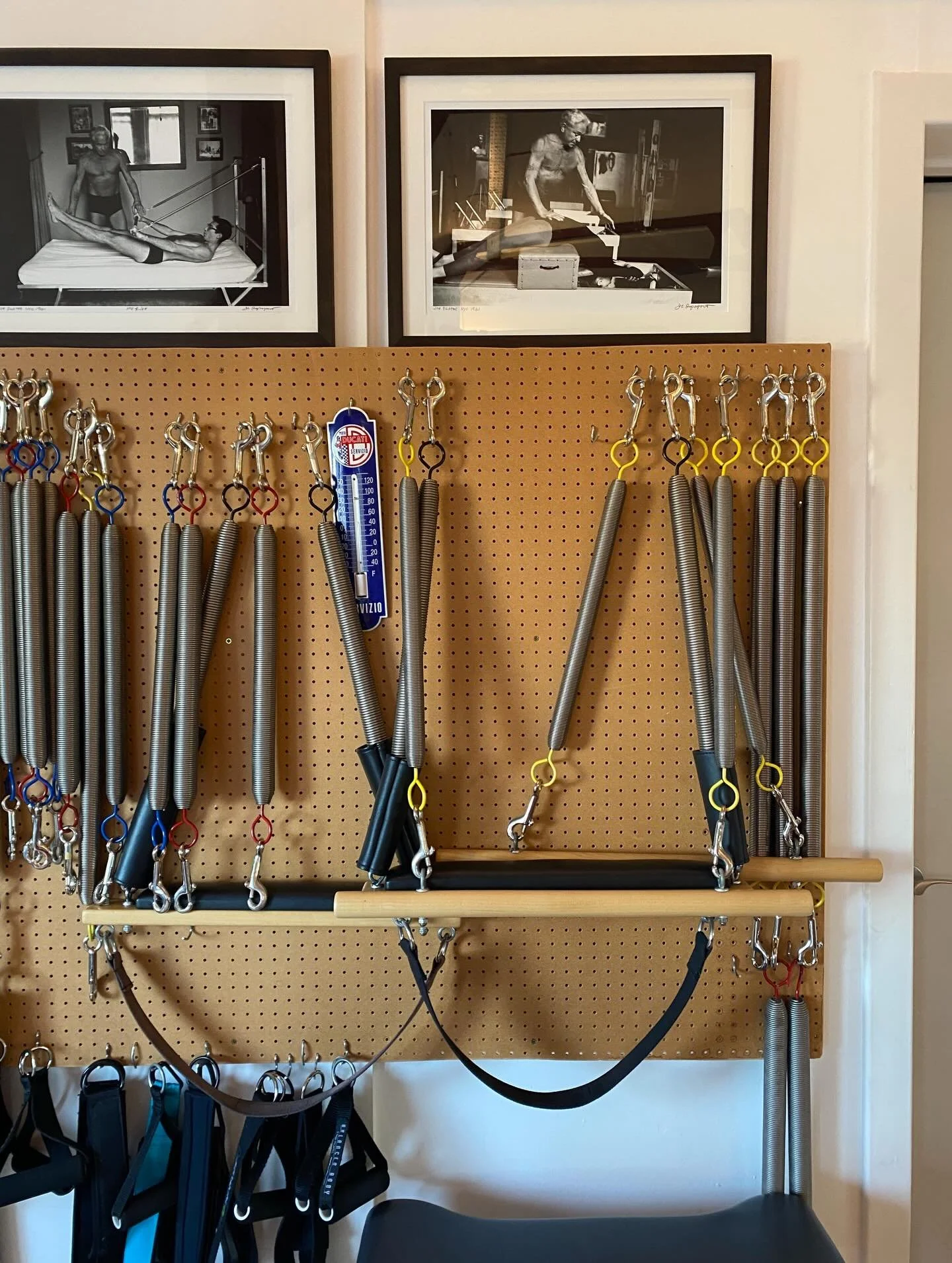 Teaching, studying, sunning, Paloma 🤸&zwj;♀️🌞📚🐩