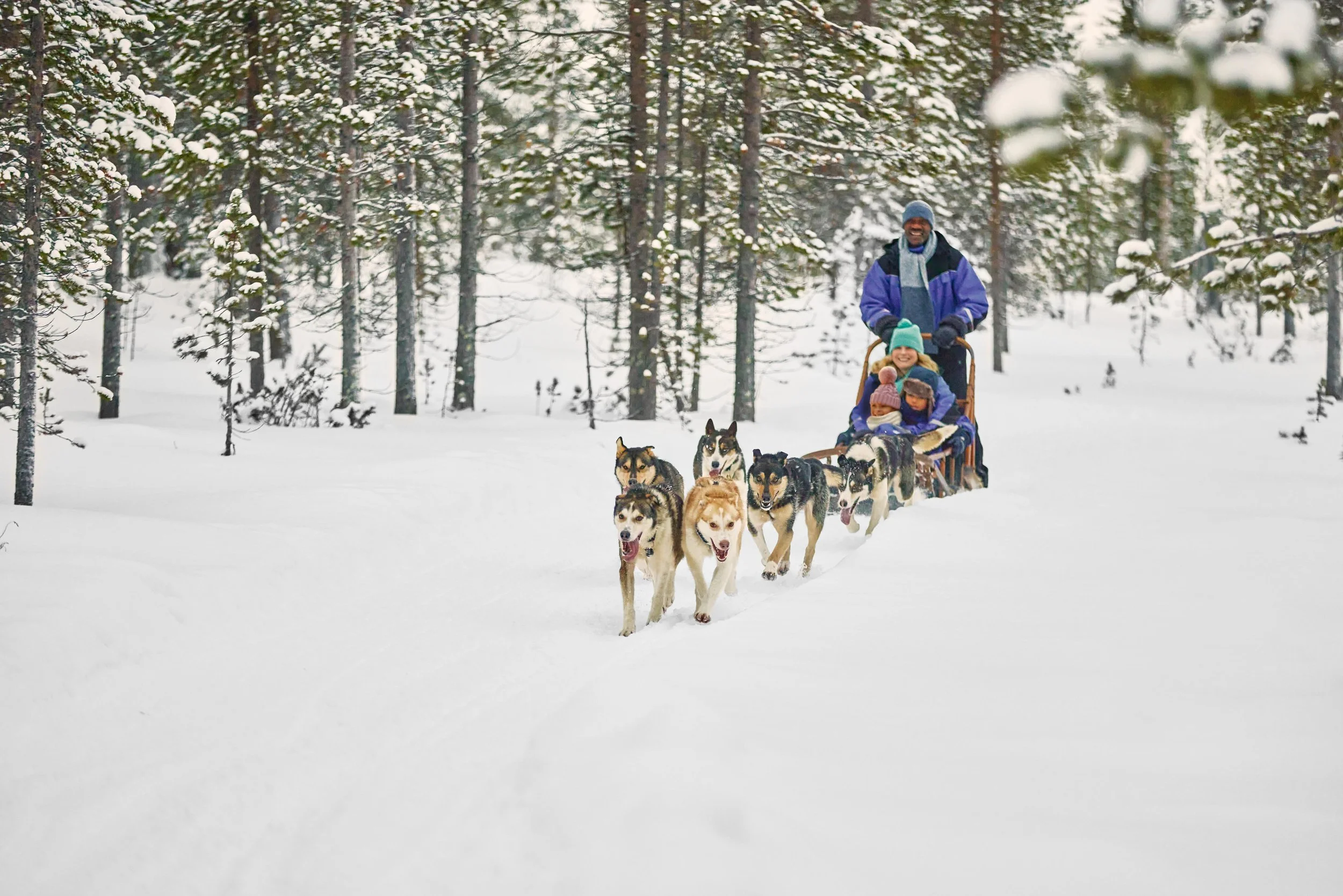 SOM_Santas_Lapland_1507Bwebjpg.jpg