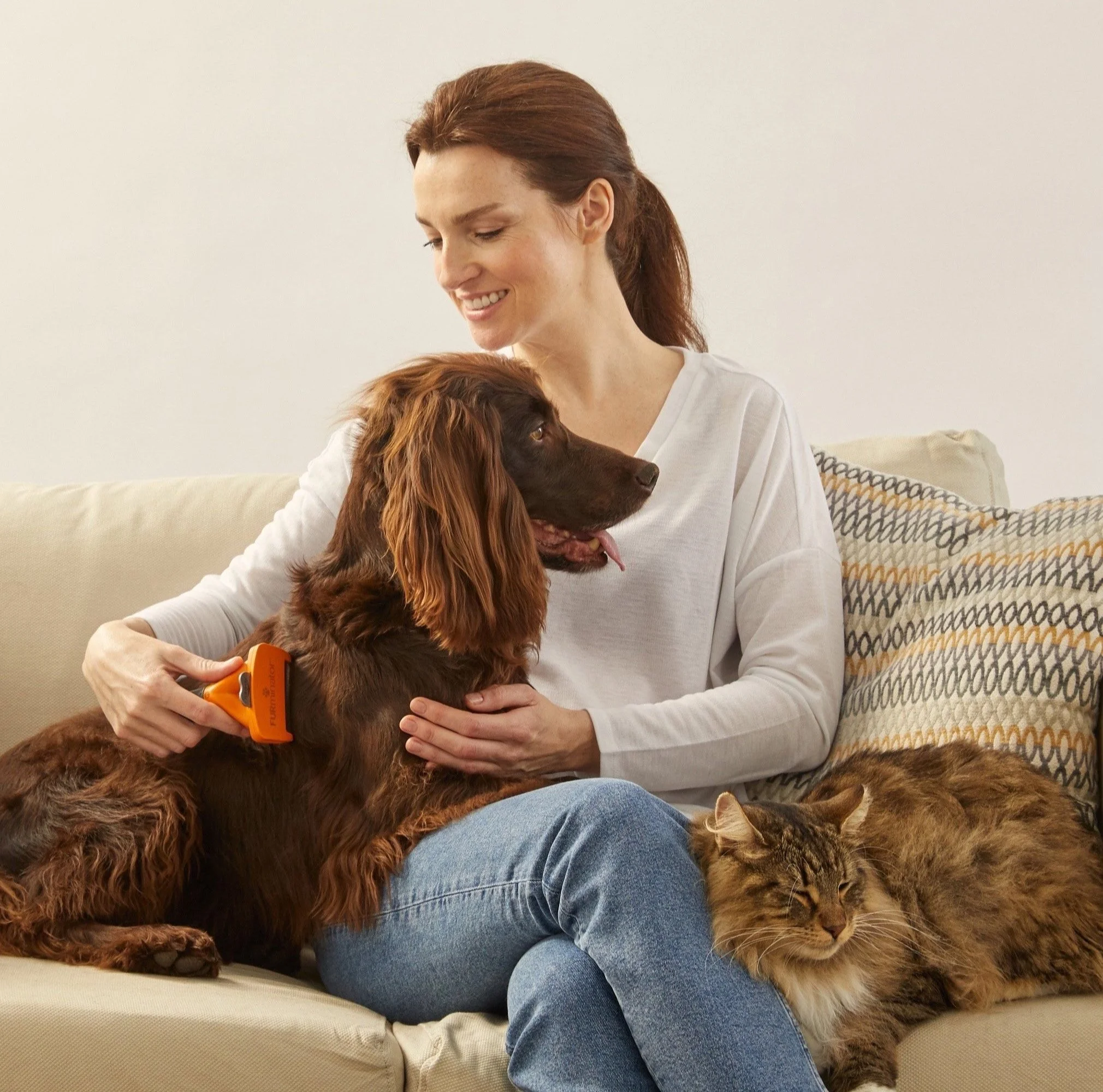 BA%252BFurminator13259edit1web.jpg