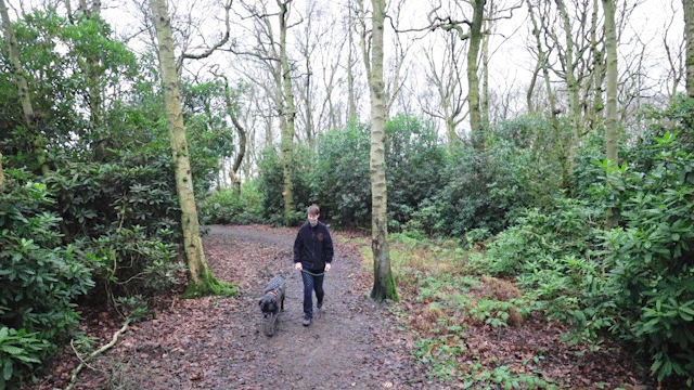 Iams_Dog_Rescue_Centre_AdobeExpress-4.gif
