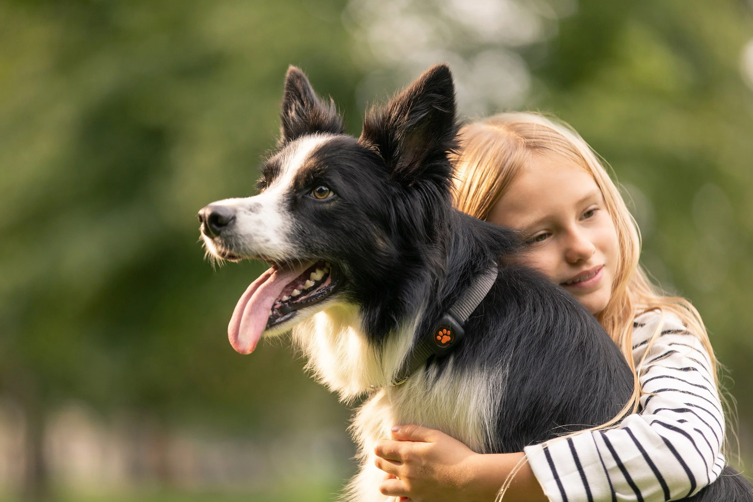 pitpat6.jpg