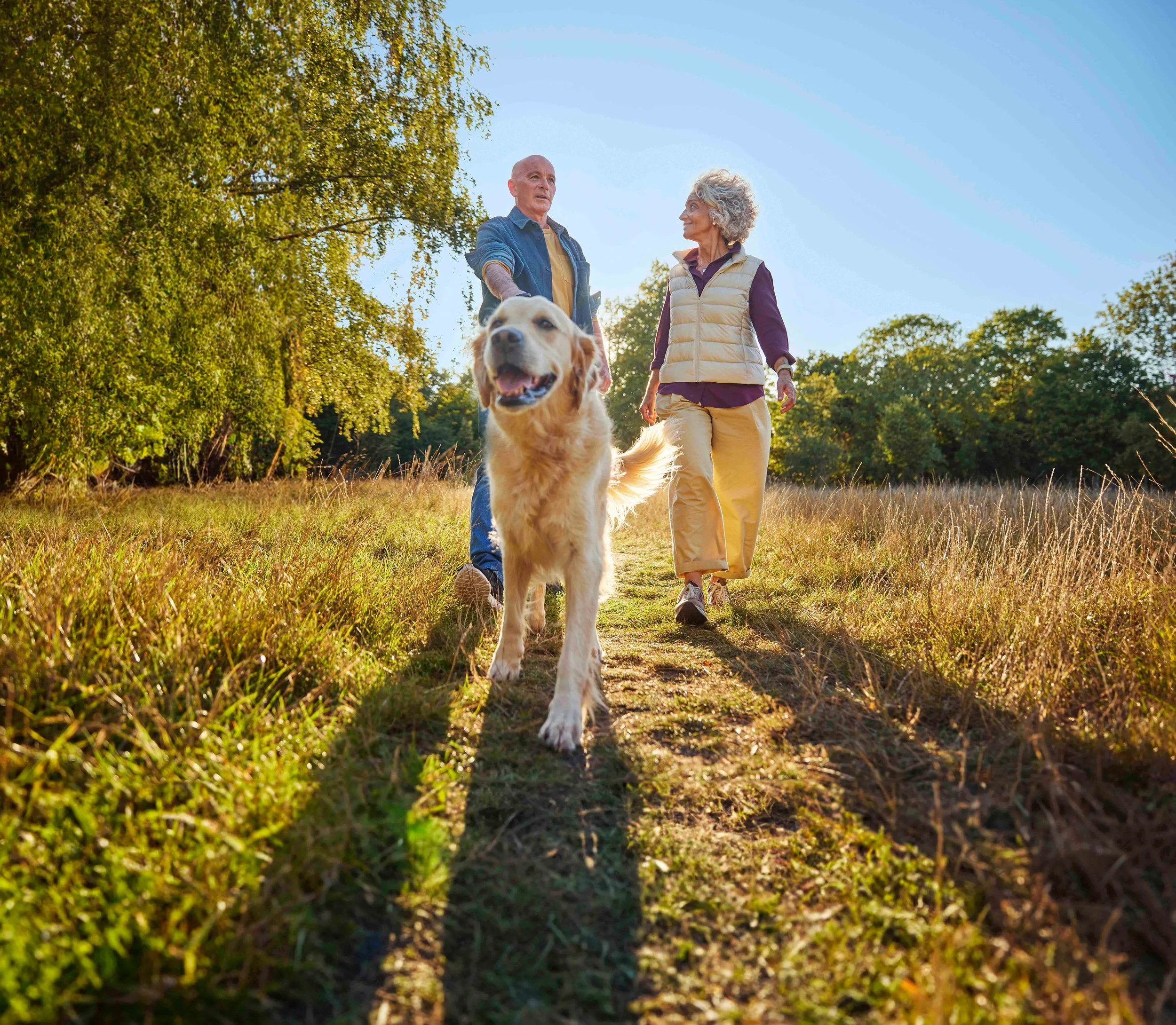 Aviva - Dog_Trees_Stills2.jpg