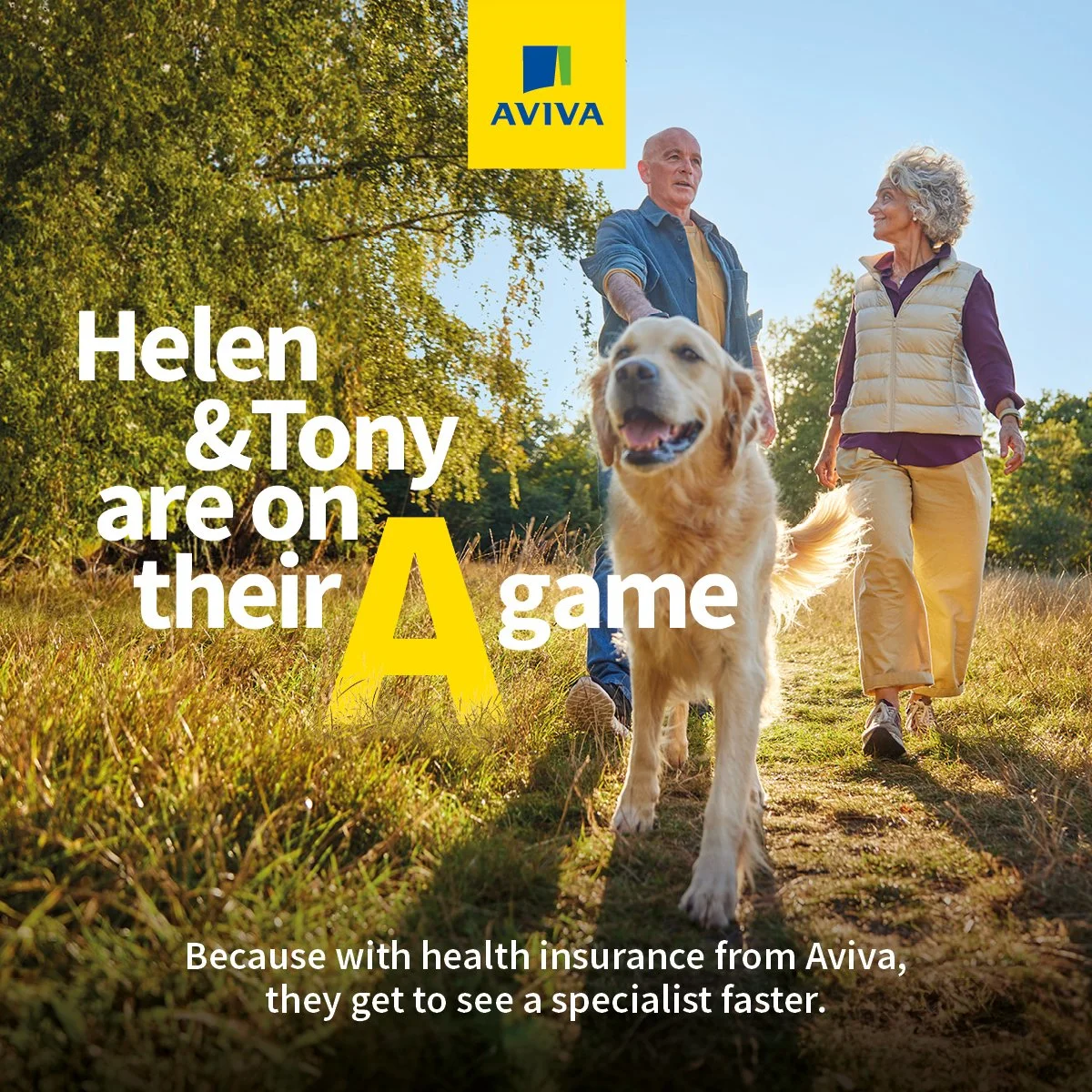 Aviva - Dog Walk_Trading - 1200x1200.jpg