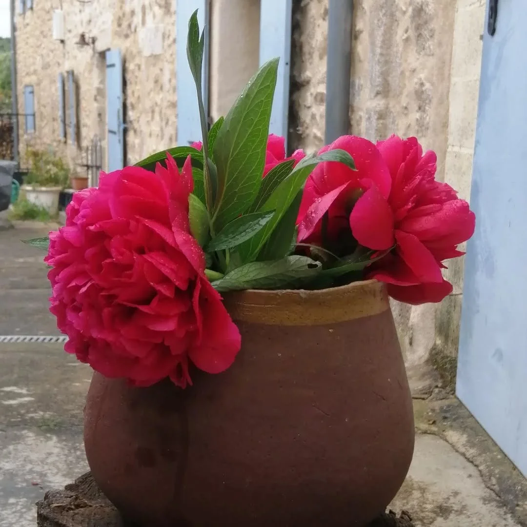 Le seau &agrave; fleurs.
Gr&egrave;s rouge.