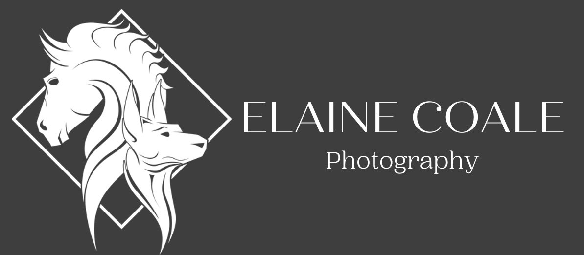 Elaine Coale Photography