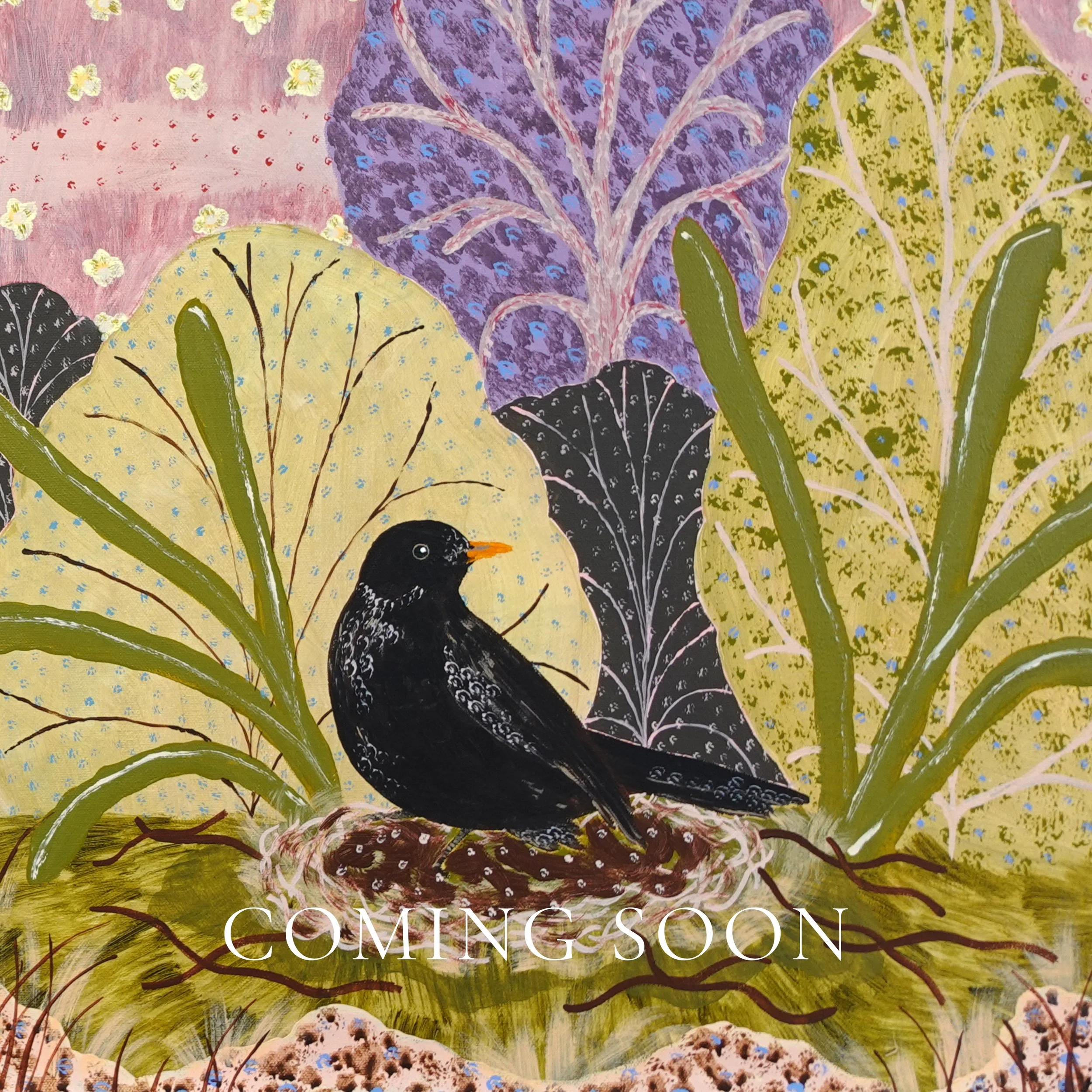 JO RANCE - A BLACKBIRD YEAR