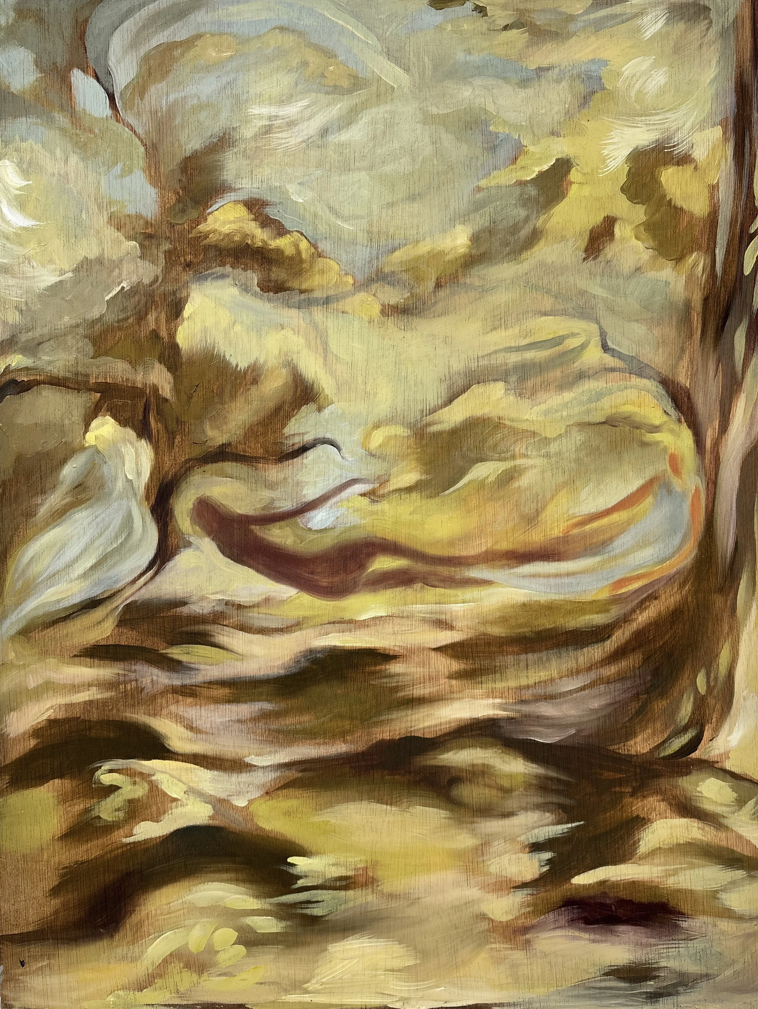 61x46.JPG