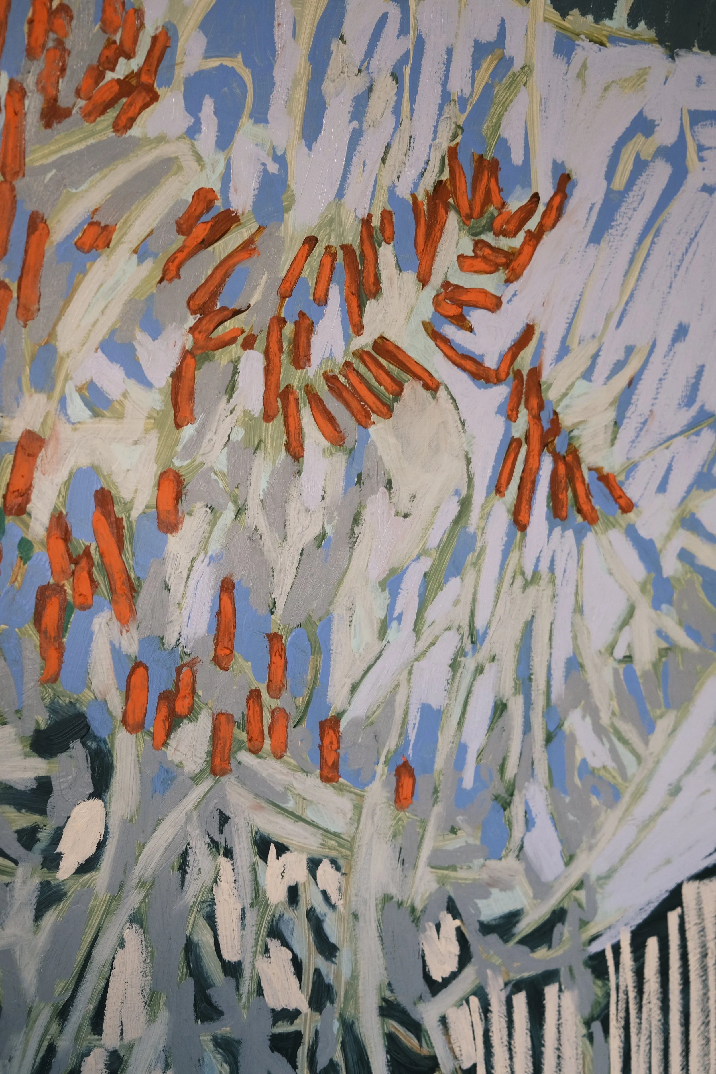 DSCF7575.JPG