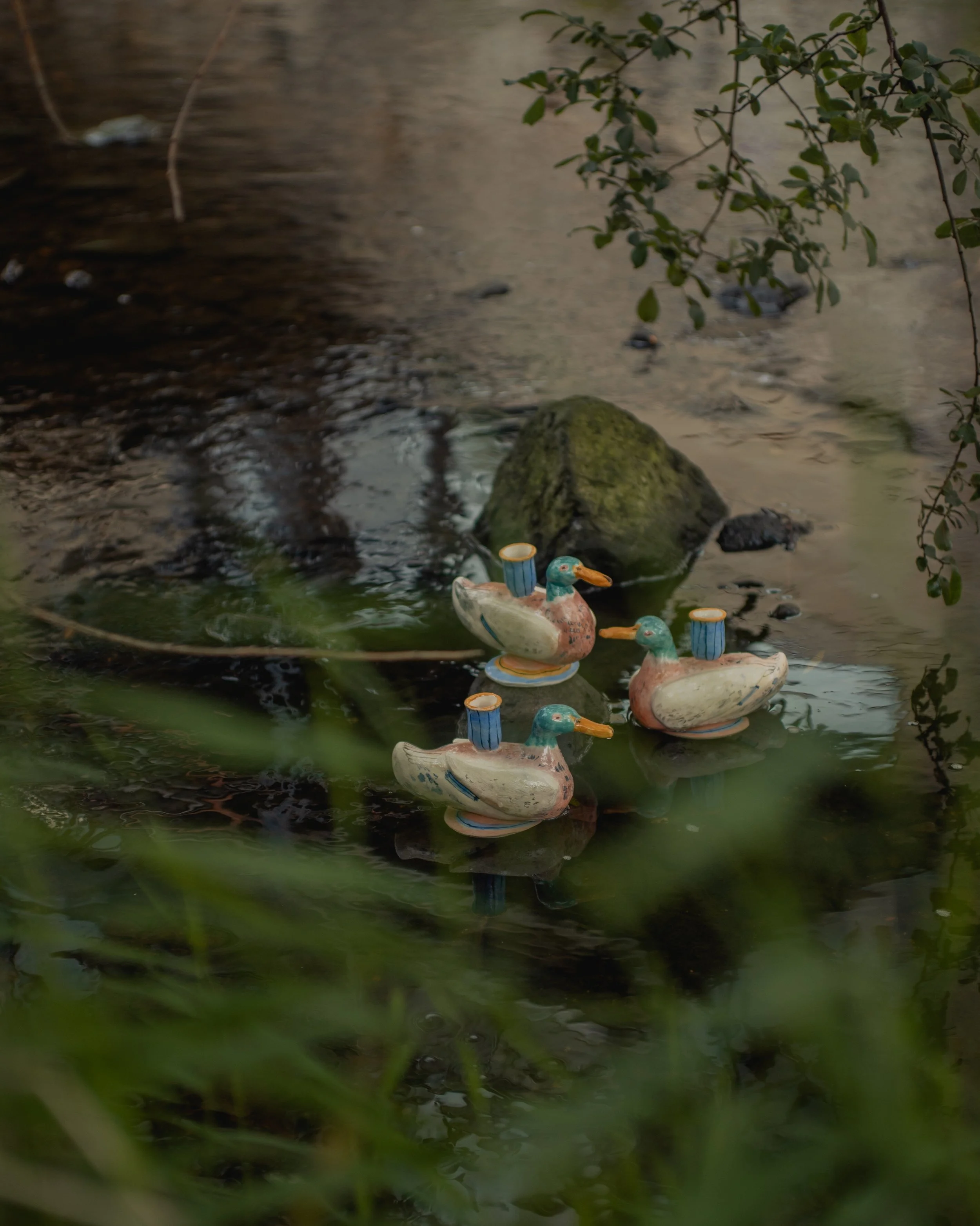 PhotoSB_CW Ducks_Instagram-3.jpg