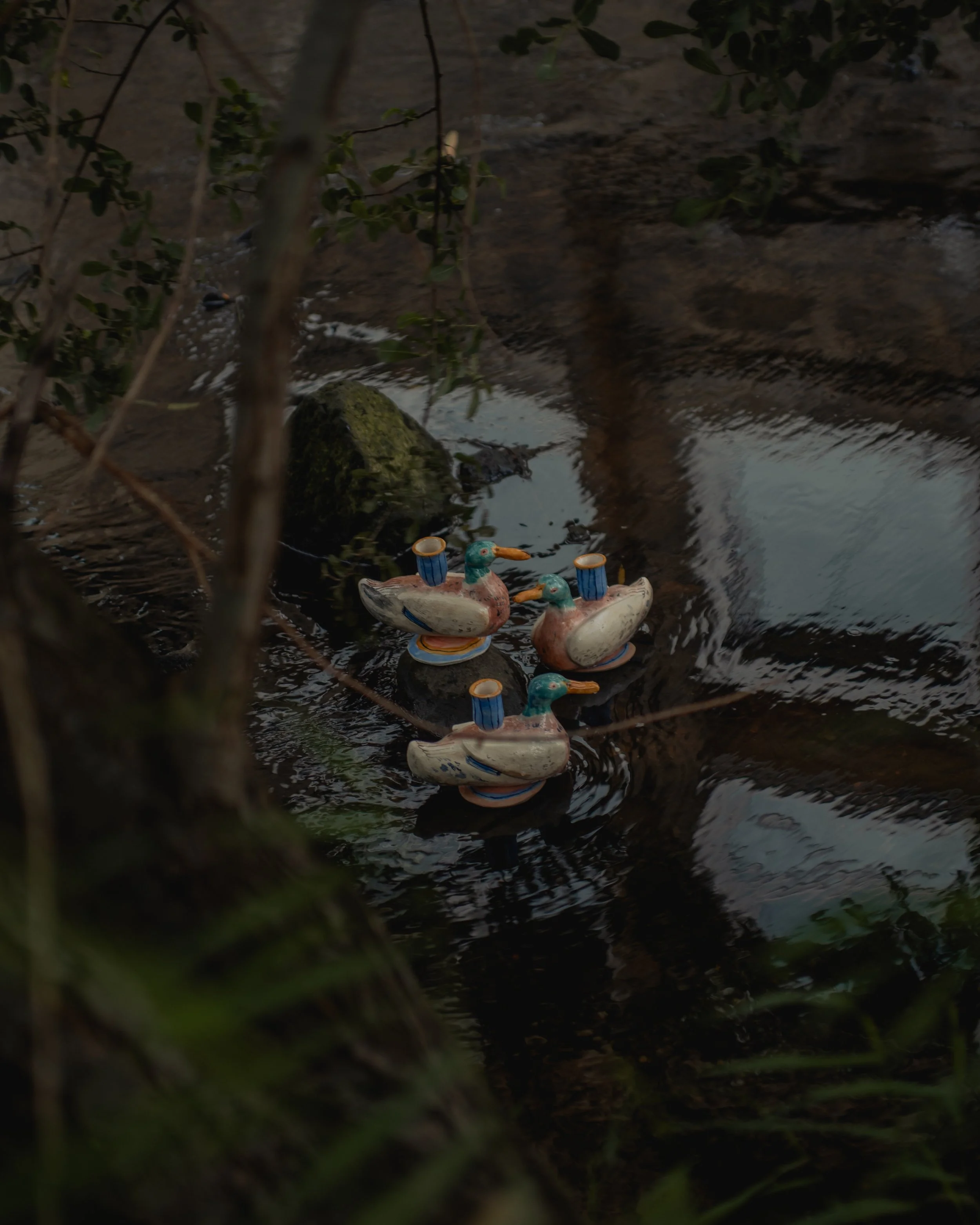PhotoSB_CW Ducks_Instagram-4.jpg