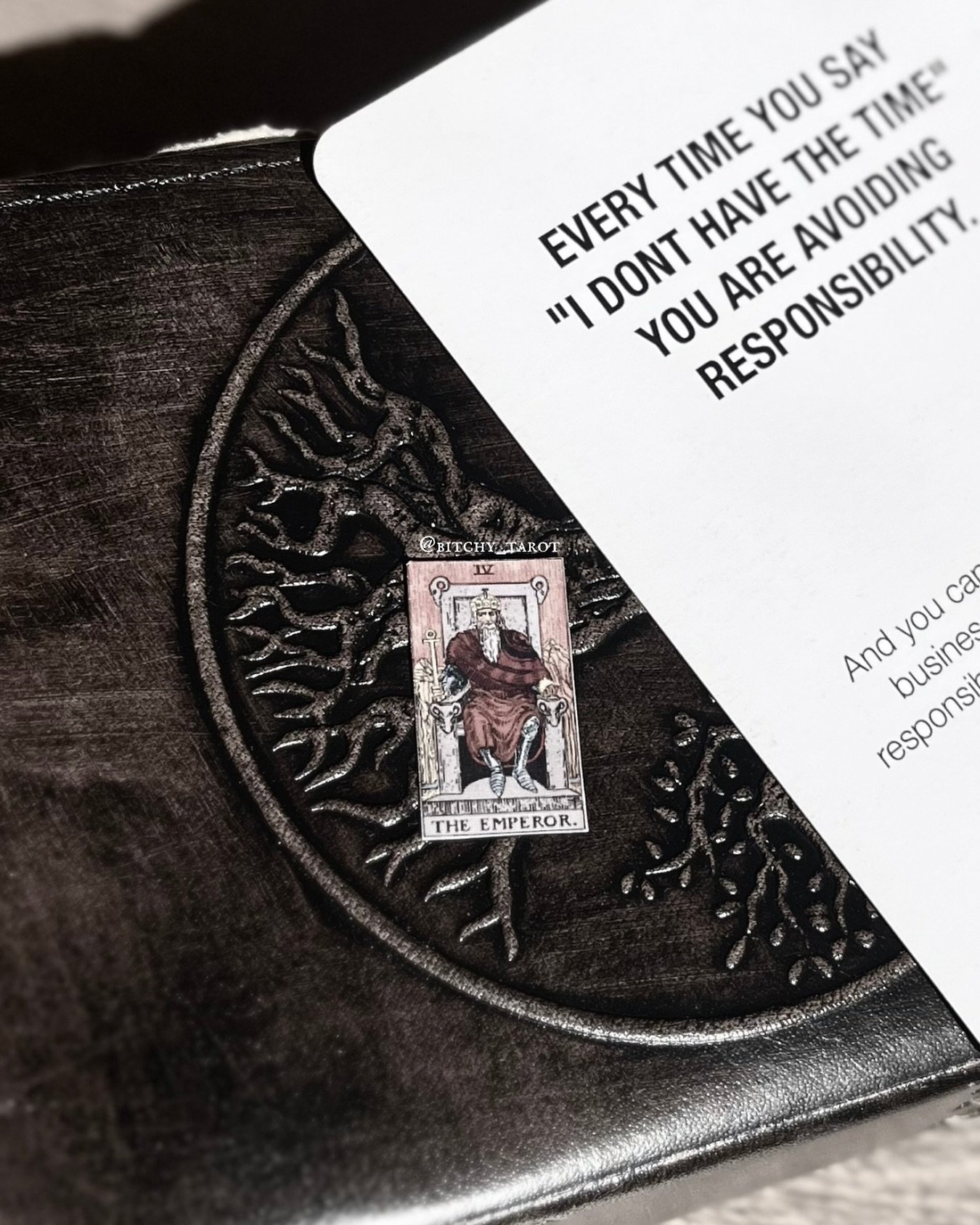 The Emperor seems like the kind of person that makes you feel bad about yourself yet inspired at the same time. 🤔 a disciplined man who has his shit together. 

#theemperor #discipline #mindset #tarot #tarotcard