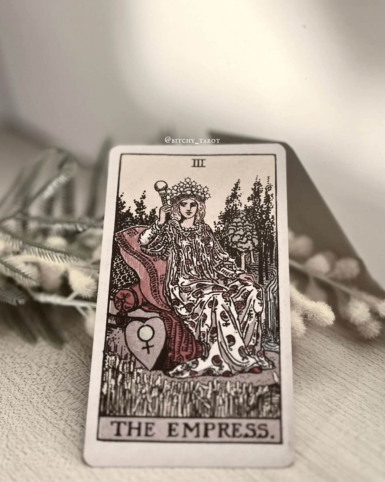 The Empress is reminding you to nurture yourself, don&rsquo;t rely on others too heavily for that 👀 

#theempress #tarot #tarotcard #tarotaesthetic #guidance