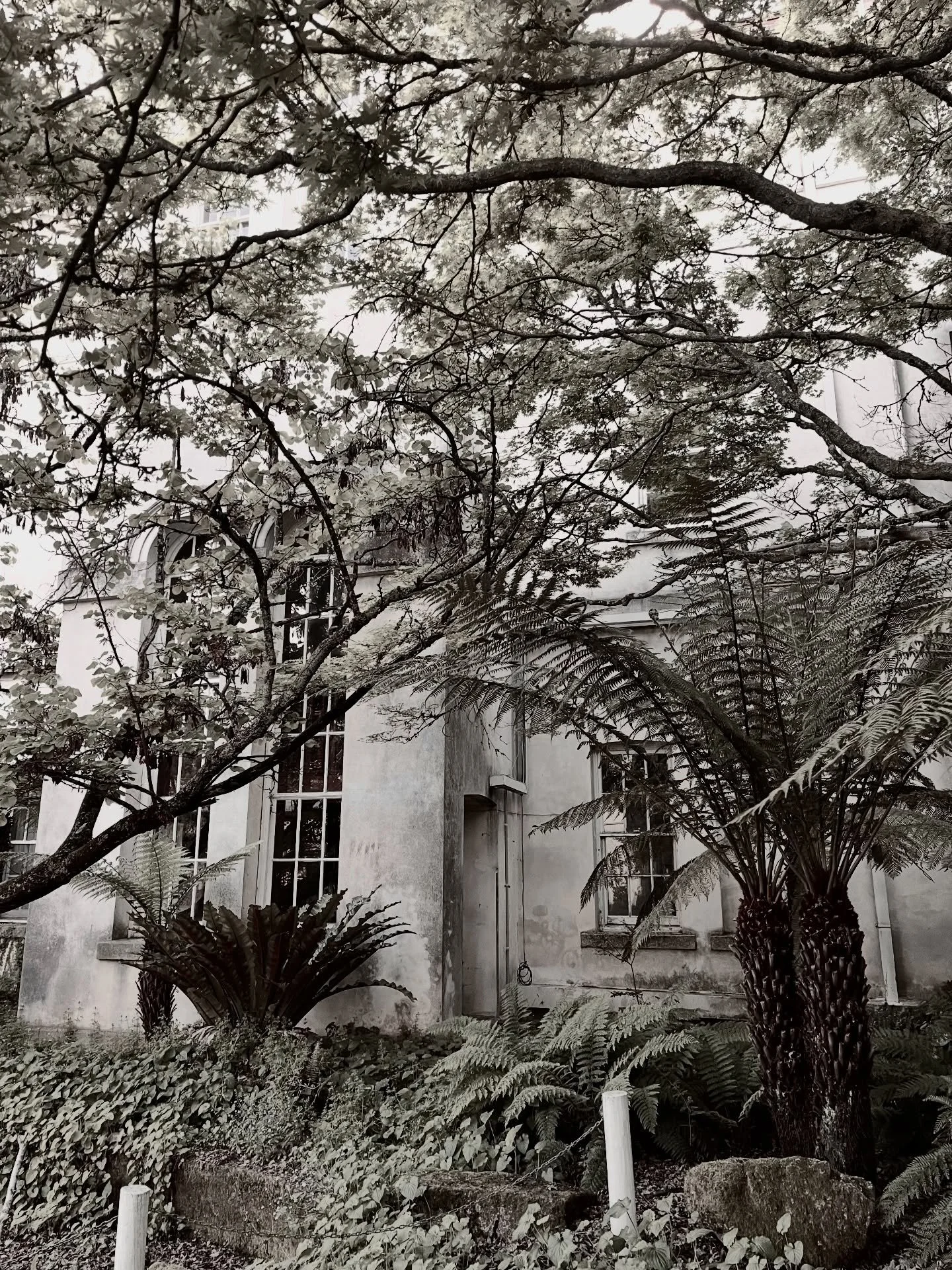 Beechworth Asylum, said to be haunted&hellip; love the vibe of this place 👻 unfortunately didn&rsquo;t see any ghosties 🥲